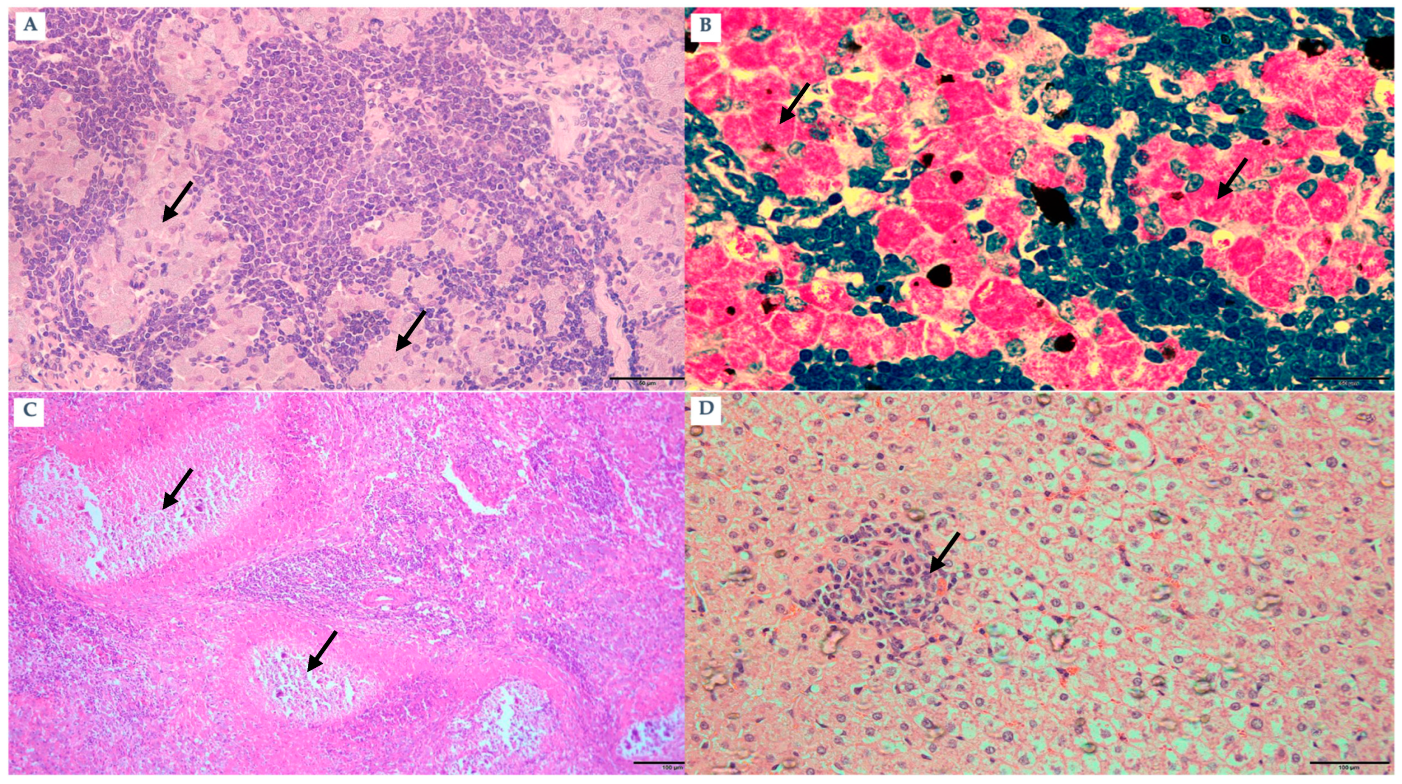 Pathogens 15 00355 g005 Pathogens 15 00355 g005