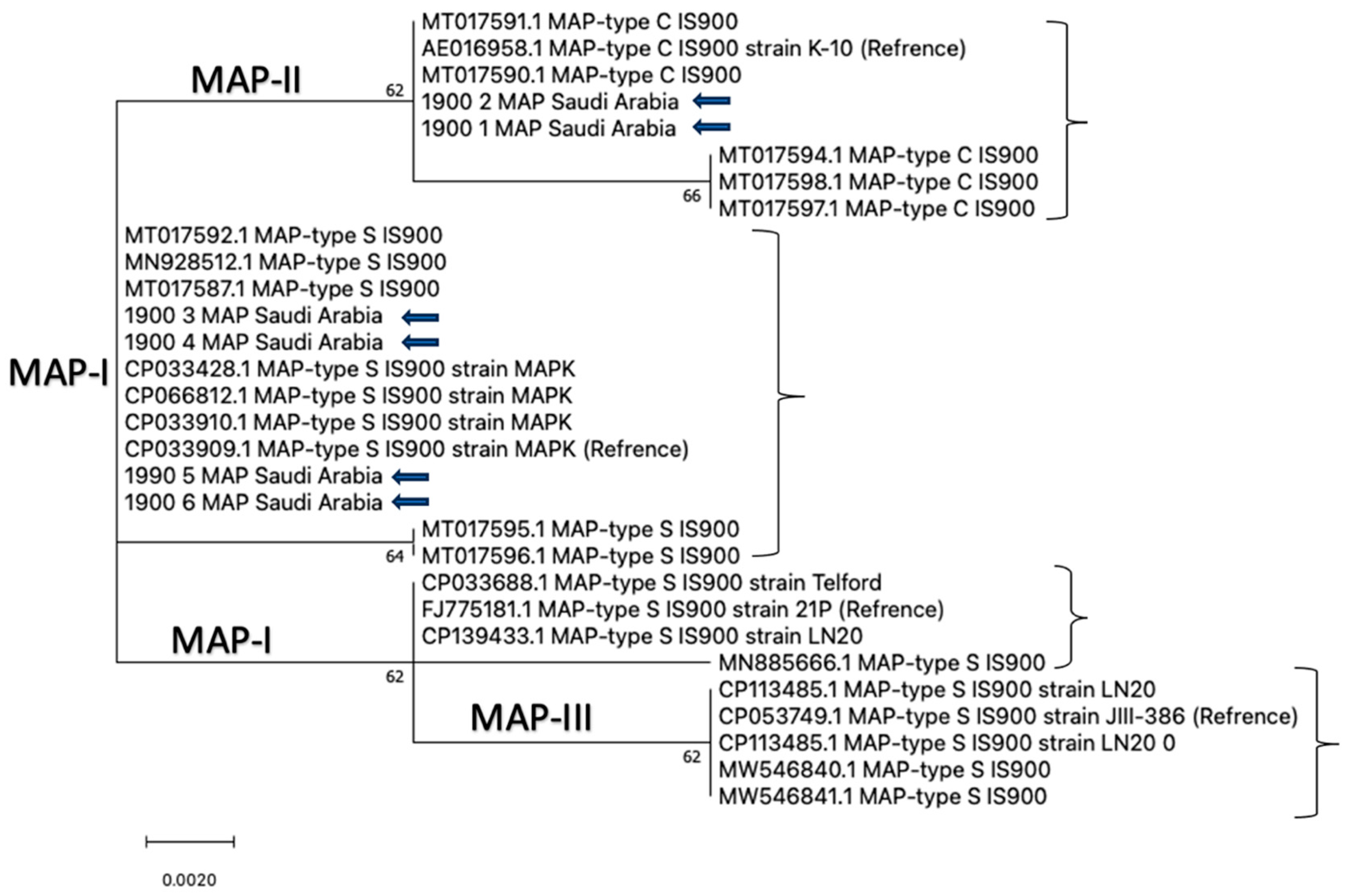 Pathogens 15 00355 g006 Pathogens 15 00355 g006