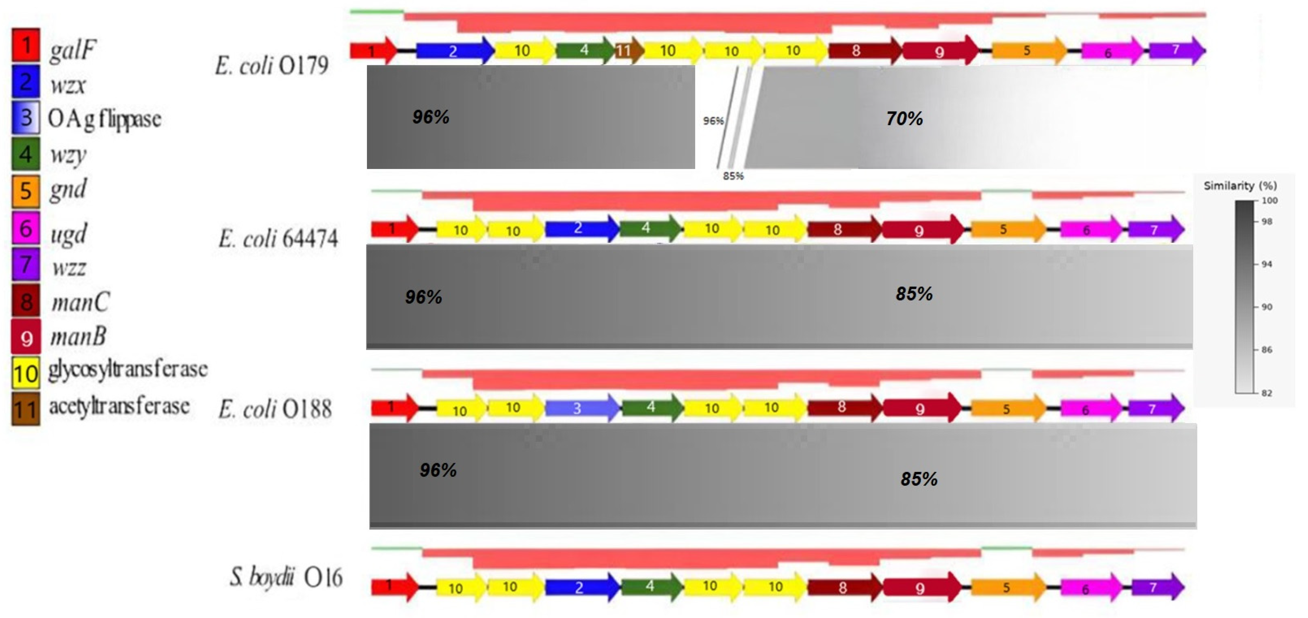 Pathogens 15 00462 g001 Pathogens 15 00462 g001