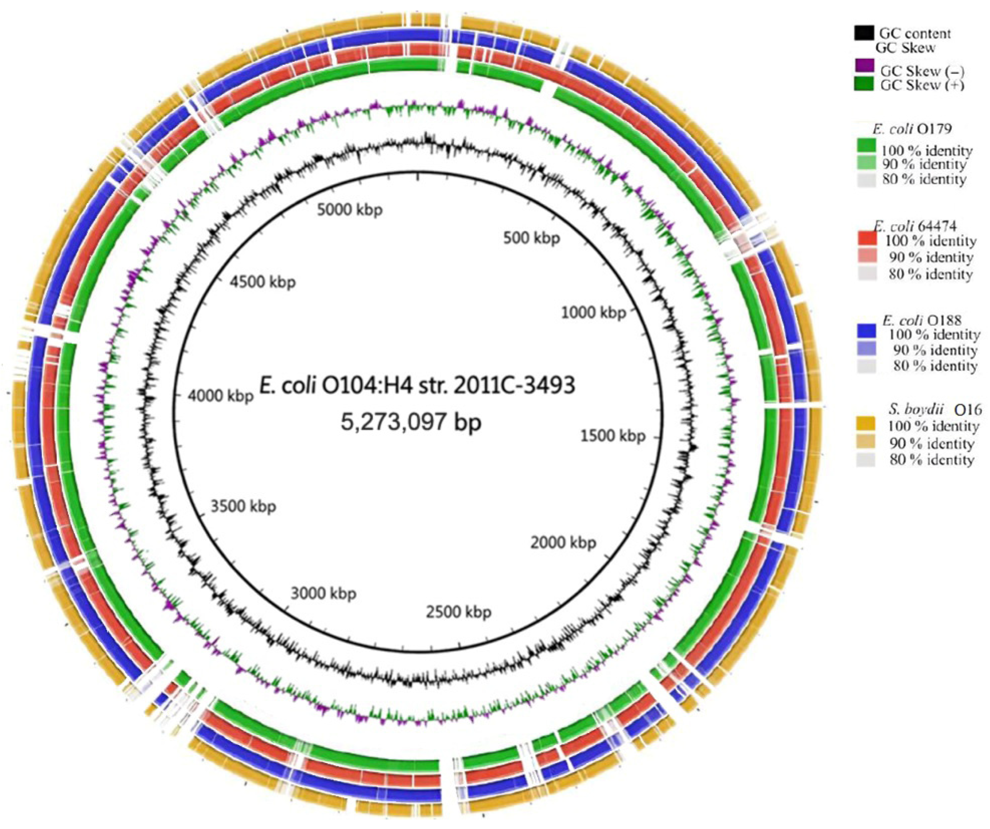 Pathogens 15 00462 g002 Pathogens 15 00462 g002
