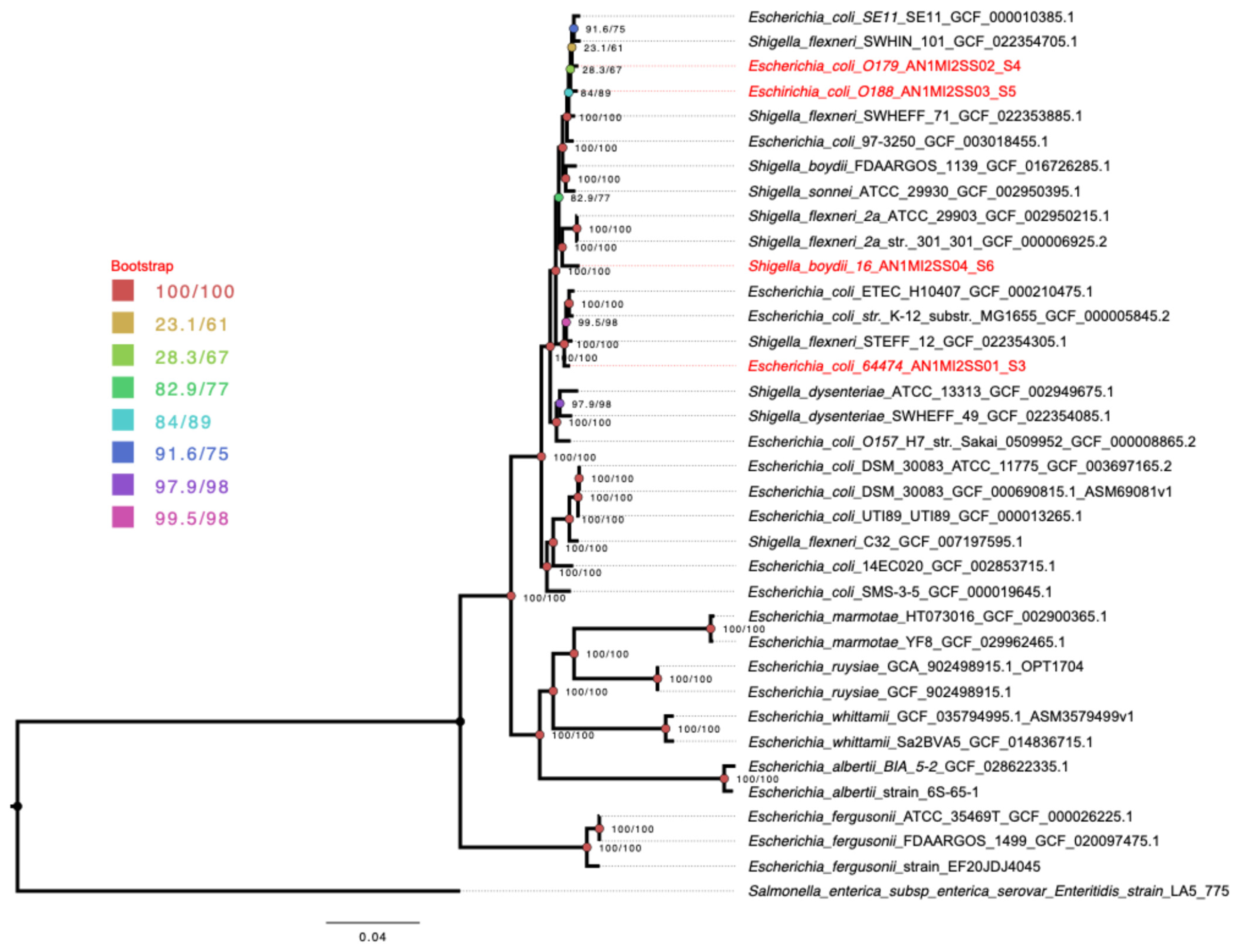 Pathogens 15 00462 g004 Pathogens 15 00462 g004