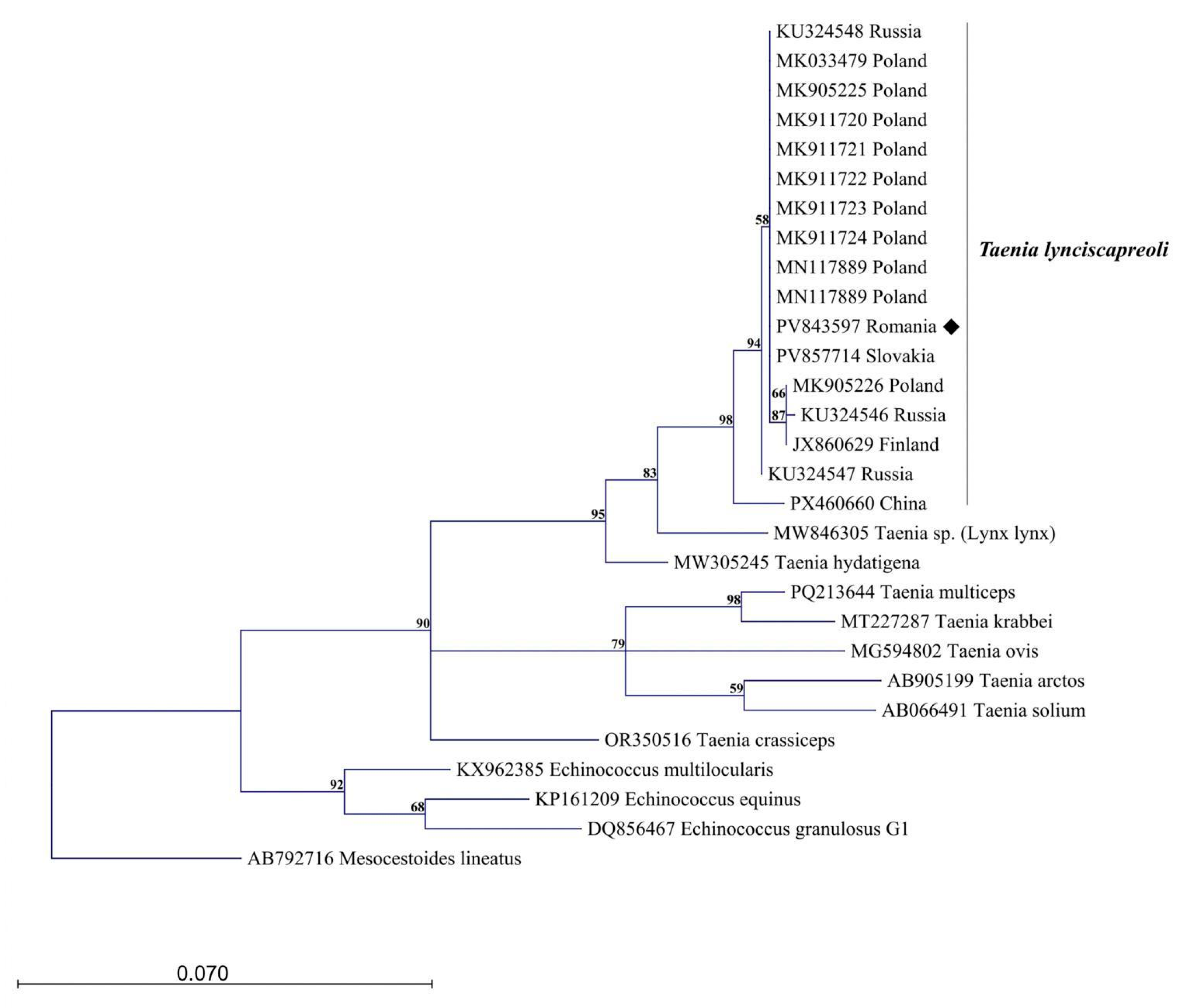 Pathogens 15 00468 g002 Pathogens 15 00468 g002