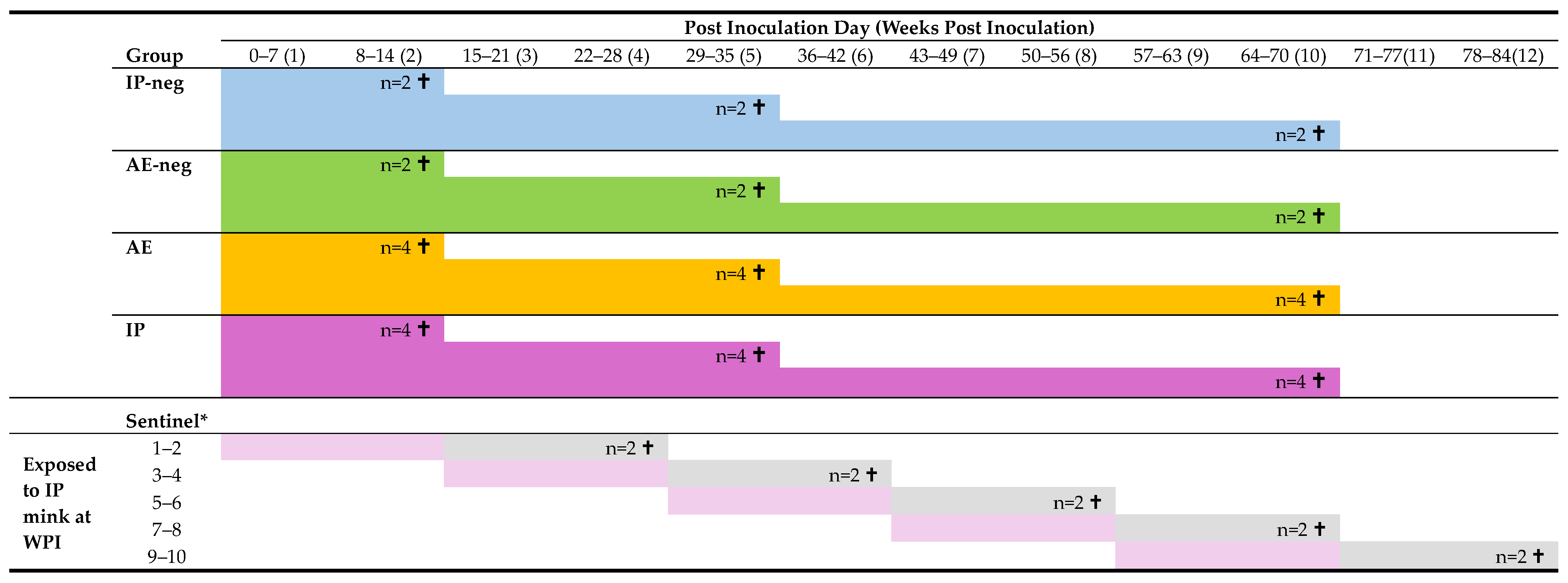 Pathogens 15 00494 g001 Pathogens 15 00494 g001