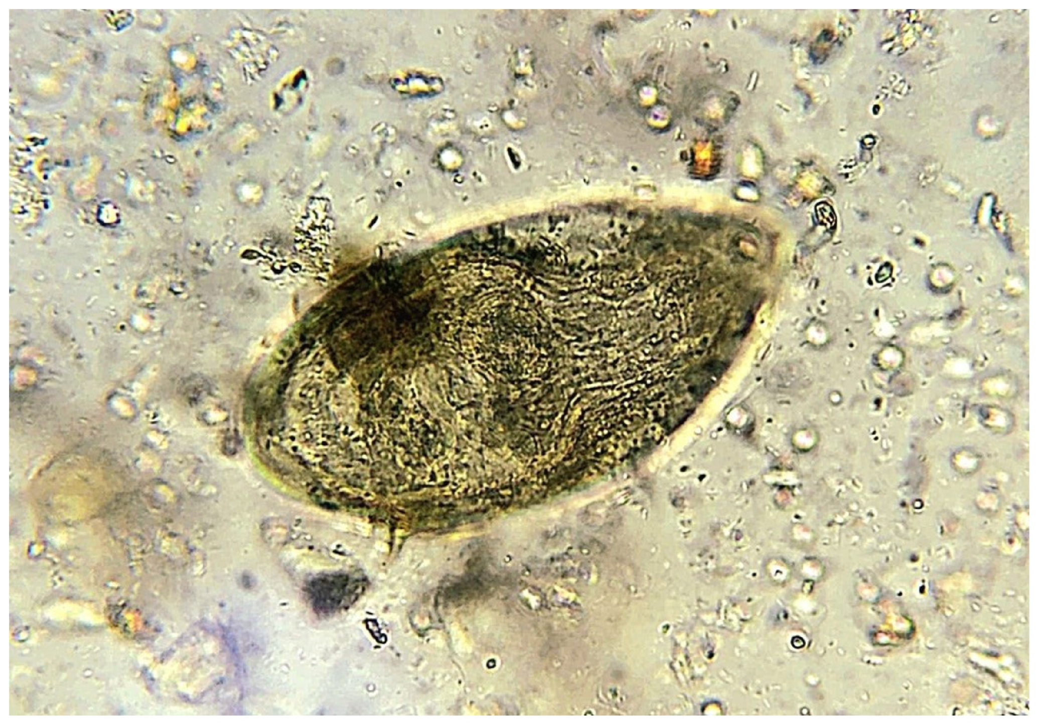 Pathogens 15 00536 g002 Pathogens 15 00536 g002
