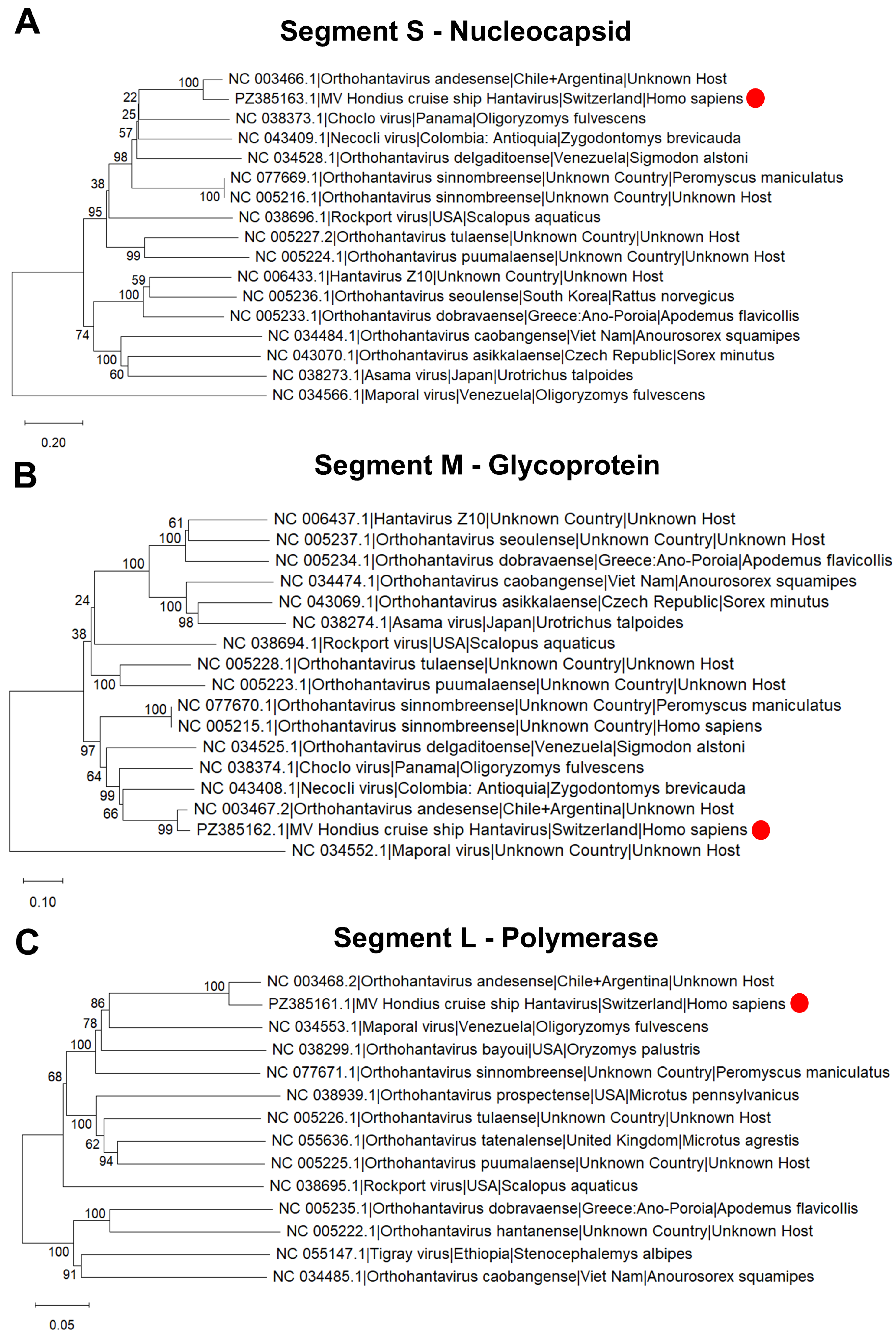 Pathogens 15 00601 g001 Pathogens 15 00601 g001