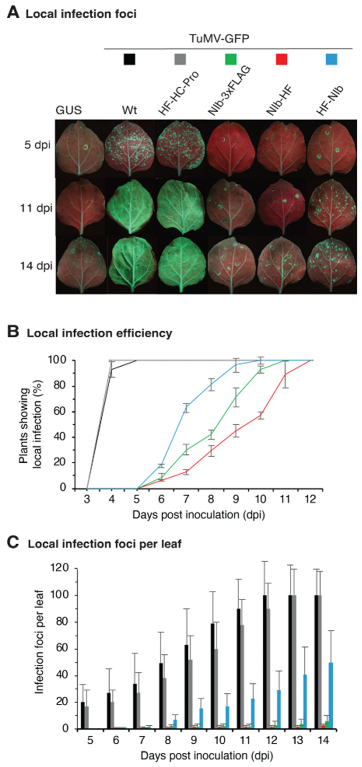 Pathogens 15 00611 g002 Pathogens 15 00611 g002