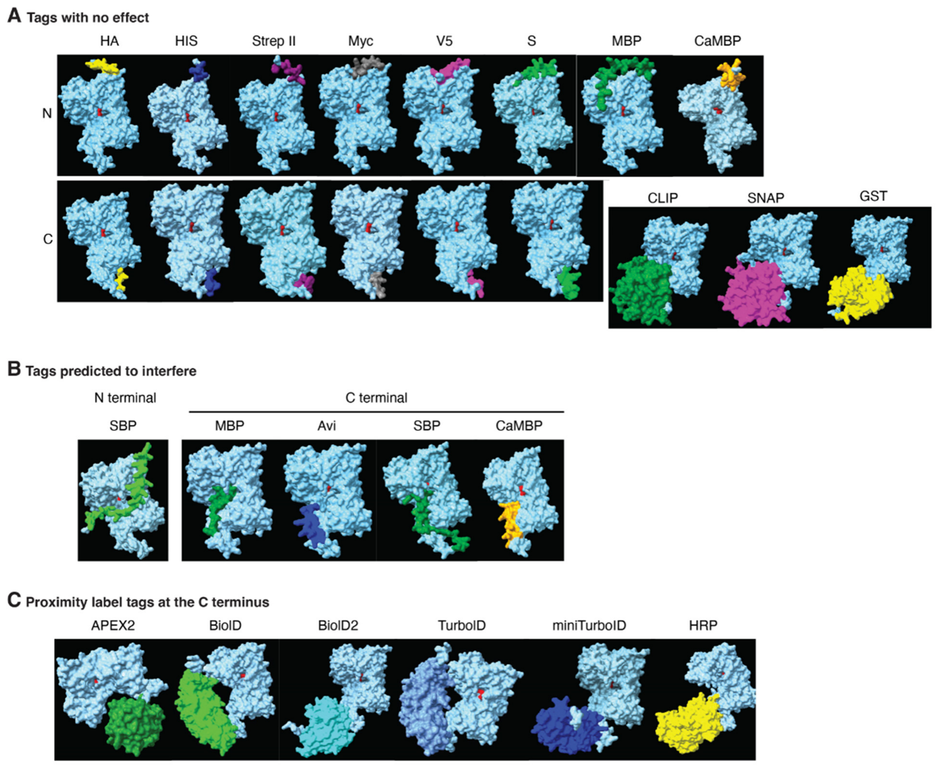 Pathogens 15 00611 g008 Pathogens 15 00611 g008