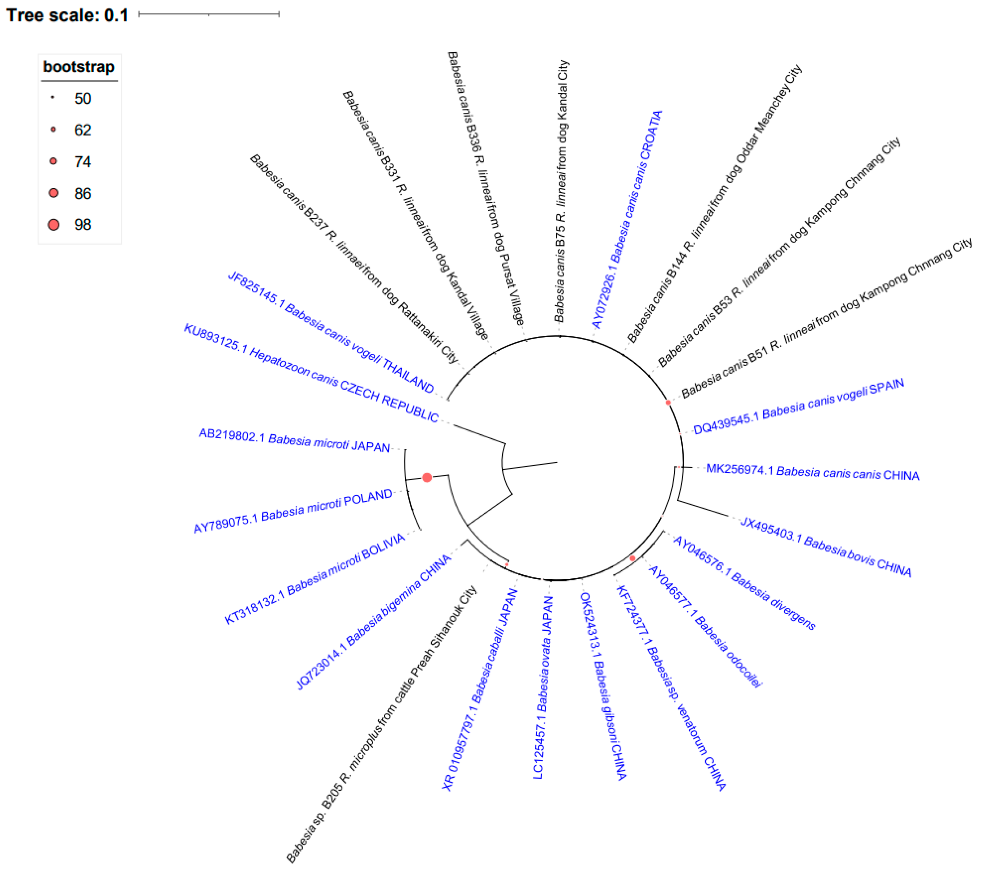 Pathogens 15 00641 g003 Pathogens 15 00641 g003