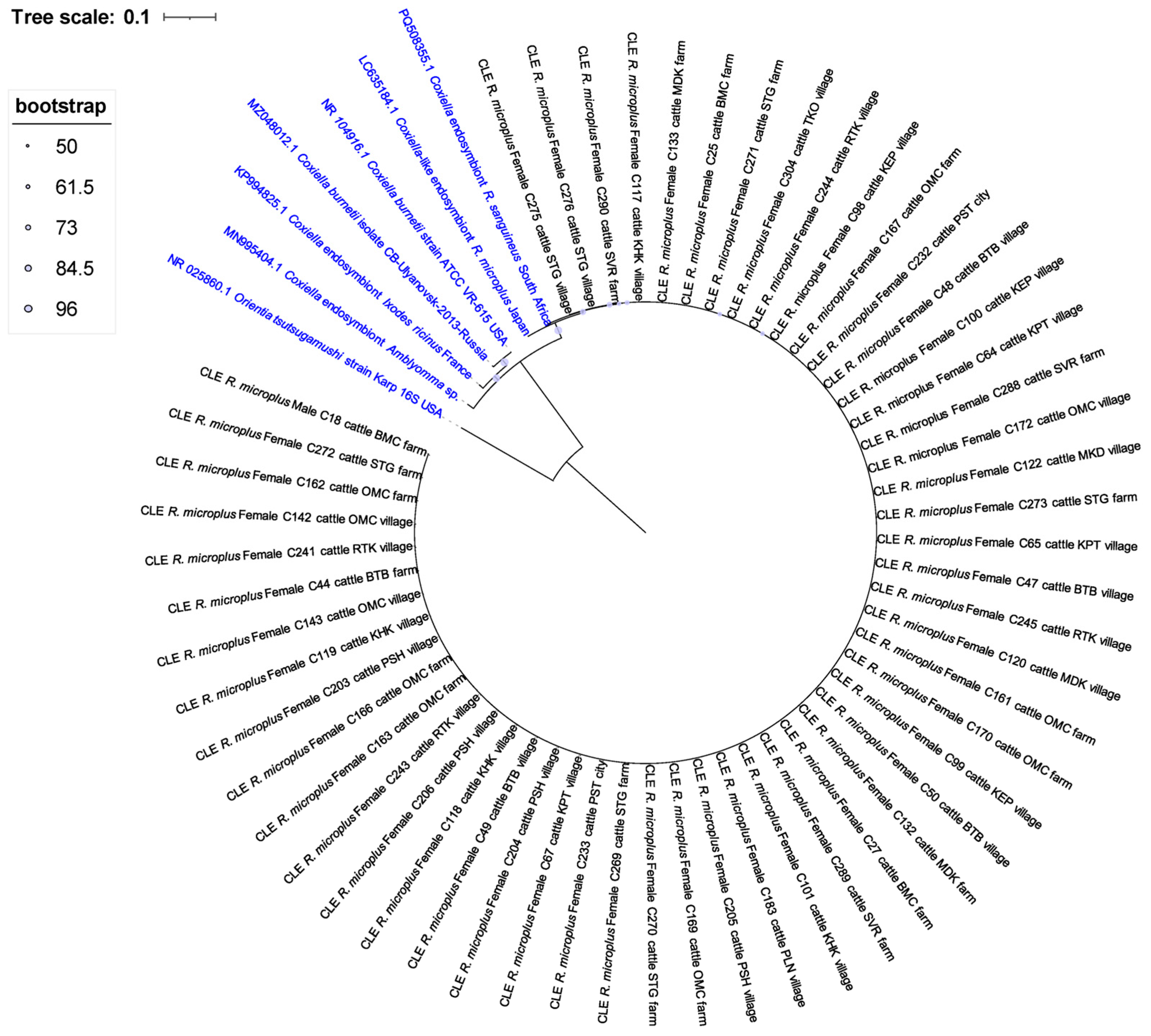 Pathogens 15 00641 g004 Pathogens 15 00641 g004