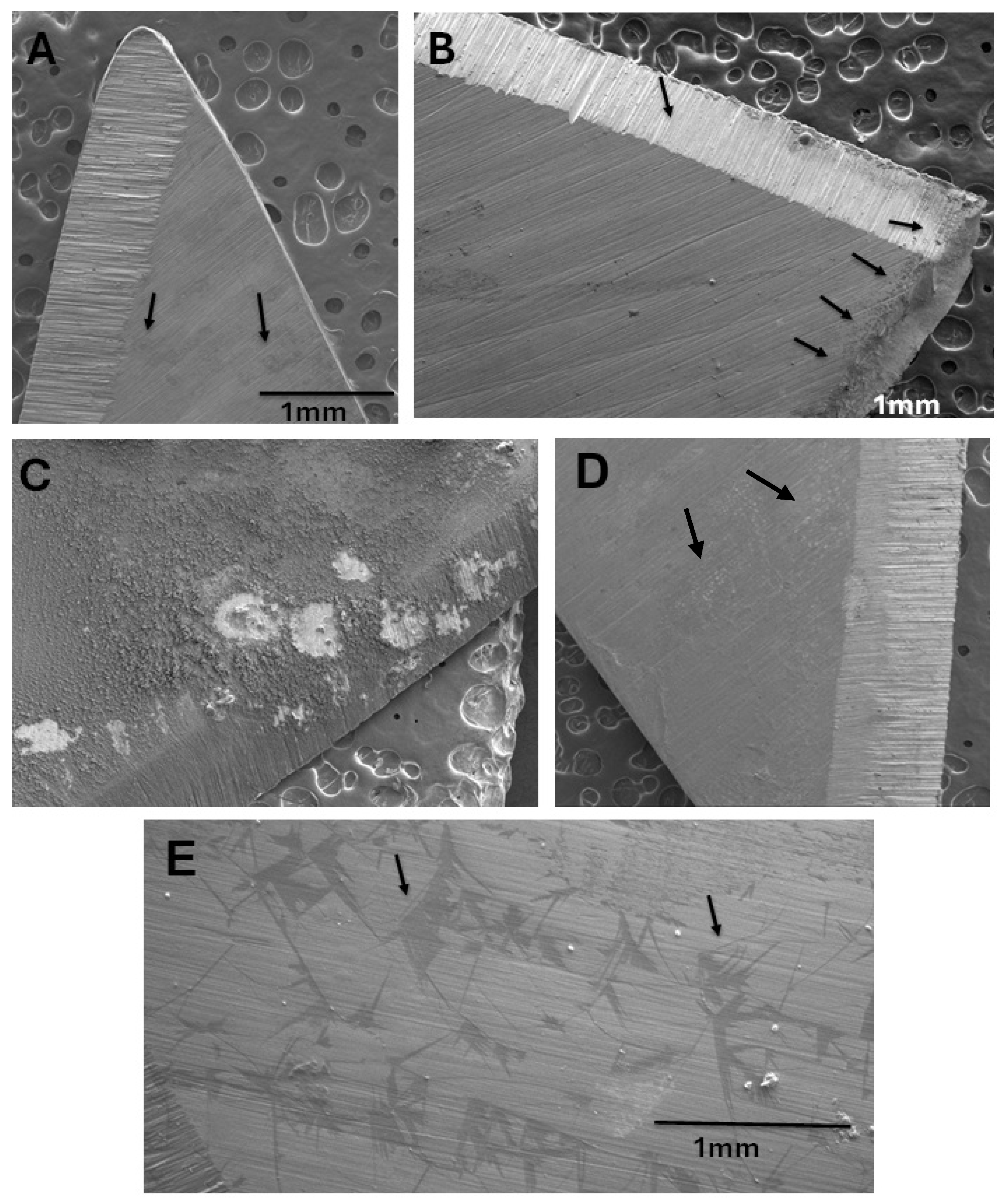 Pathogens 15 00645 g003 Pathogens 15 00645 g003