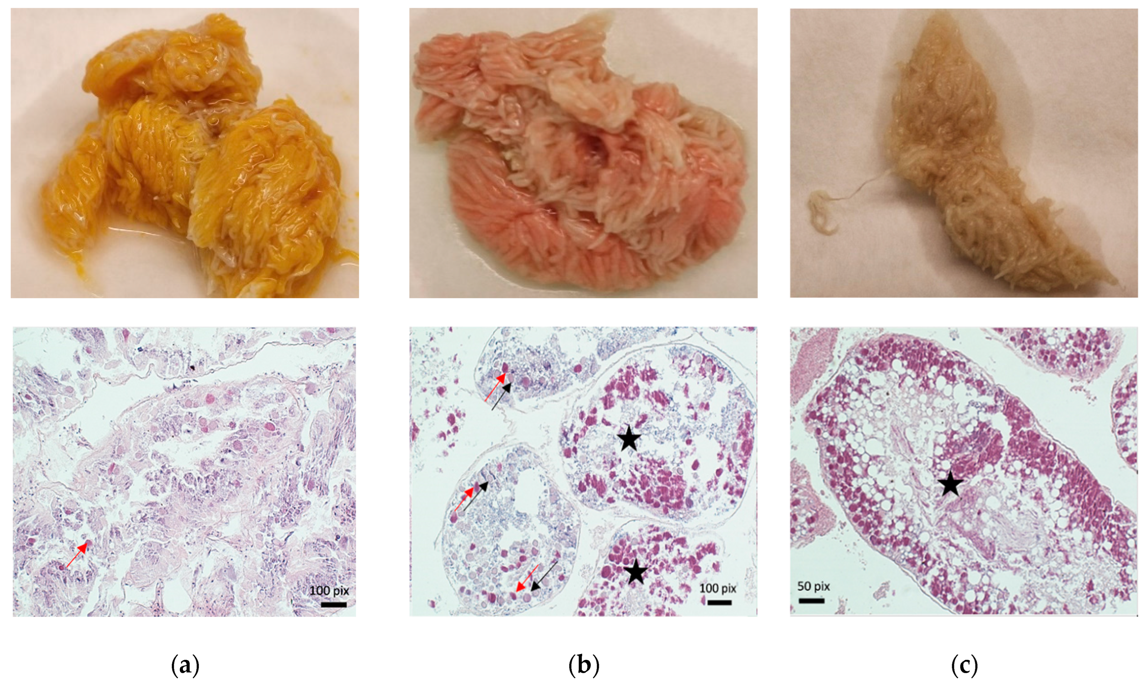 Pathogens 15 00681 g003 Pathogens 15 00681 g003