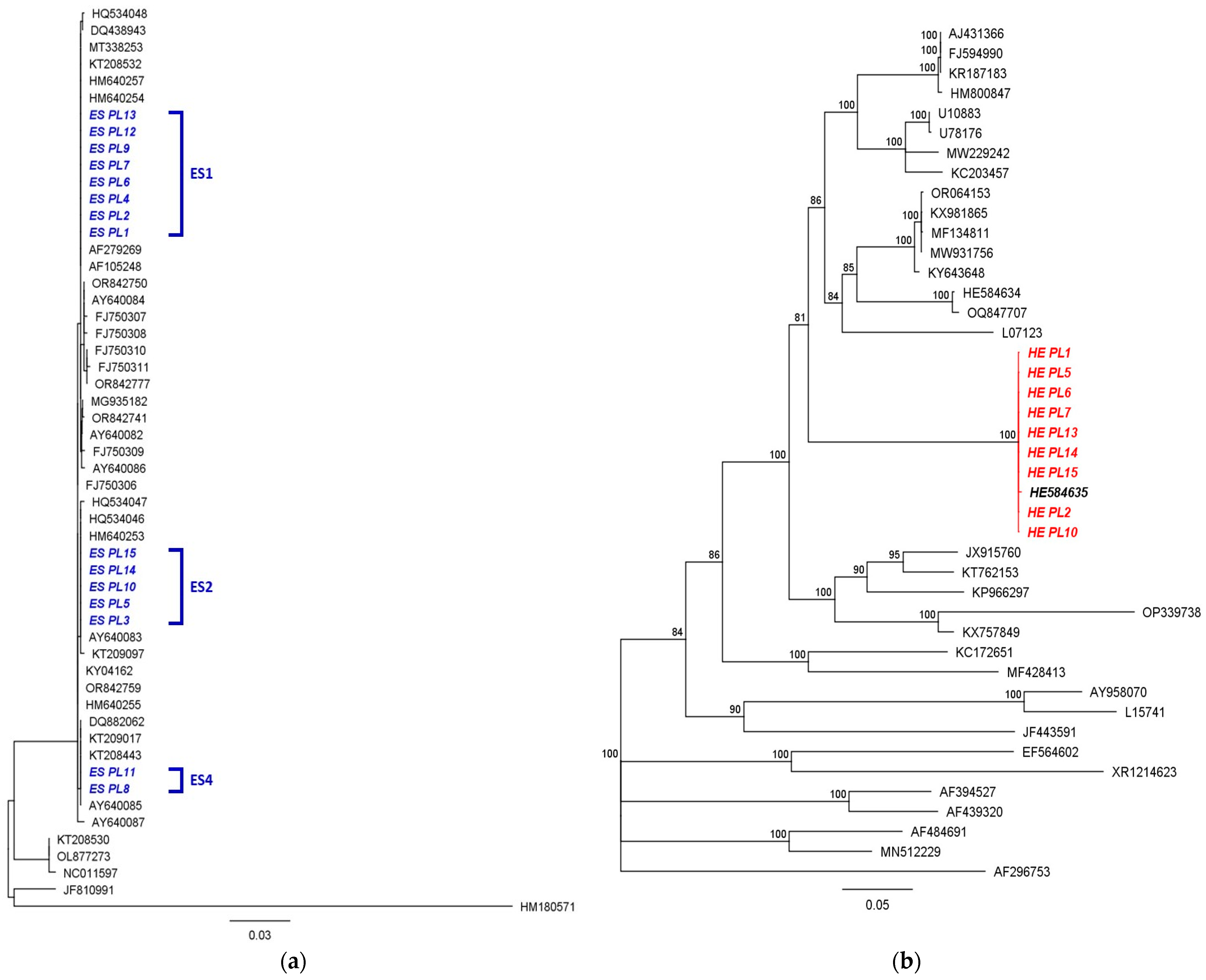 Pathogens 15 00681 g004 Pathogens 15 00681 g004