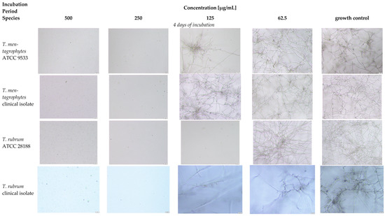 Pathogens 15 00688 g0a1a