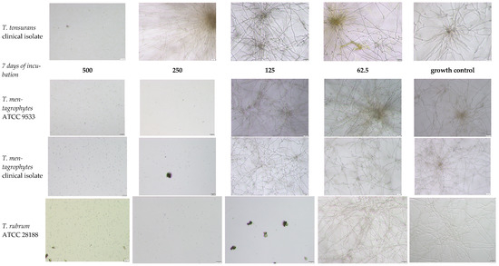 Pathogens 15 00688 g0a1b