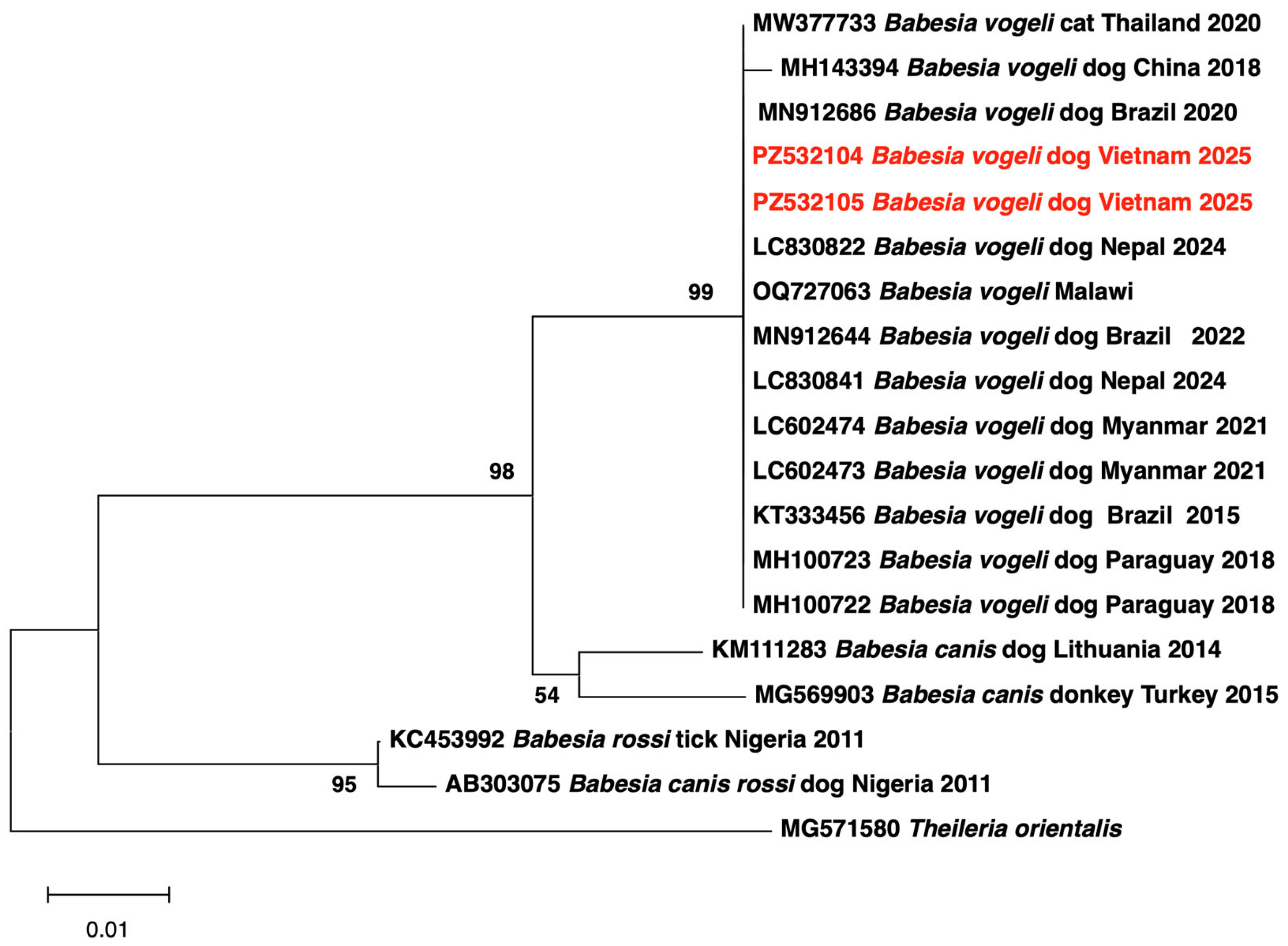 Pathogens 15 00702 g002 Pathogens 15 00702 g002