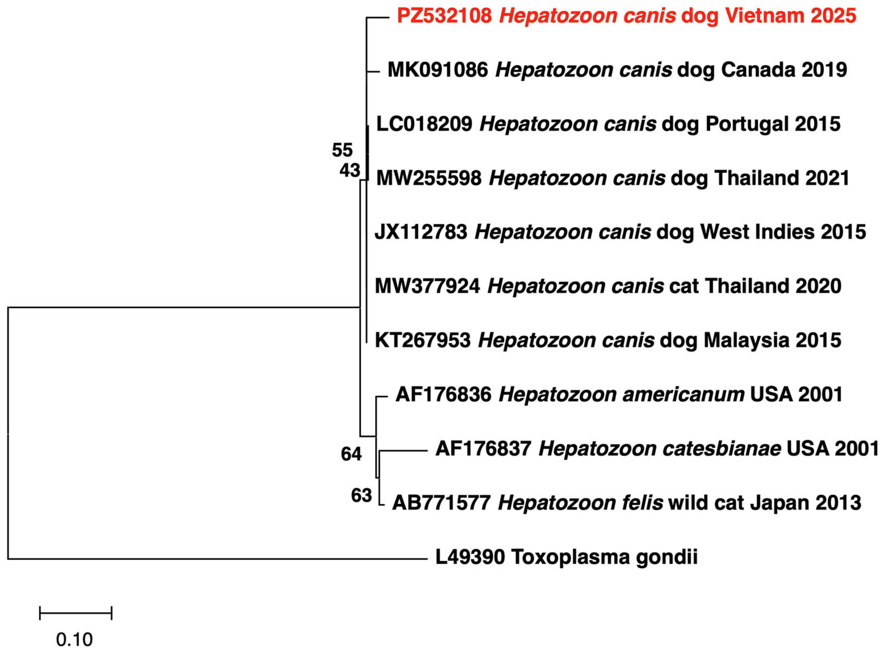Pathogens 15 00702 g003 Pathogens 15 00702 g003