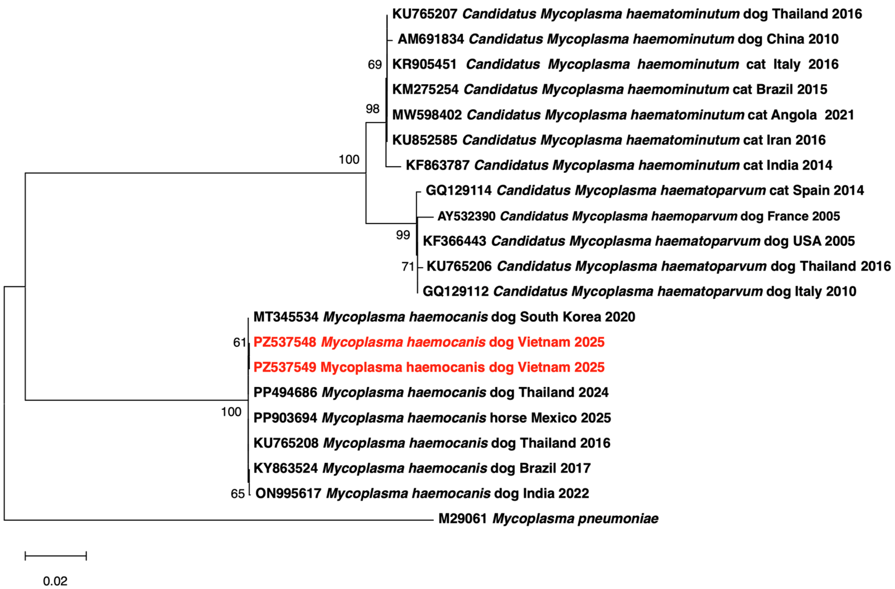 Pathogens 15 00702 g004 Pathogens 15 00702 g004