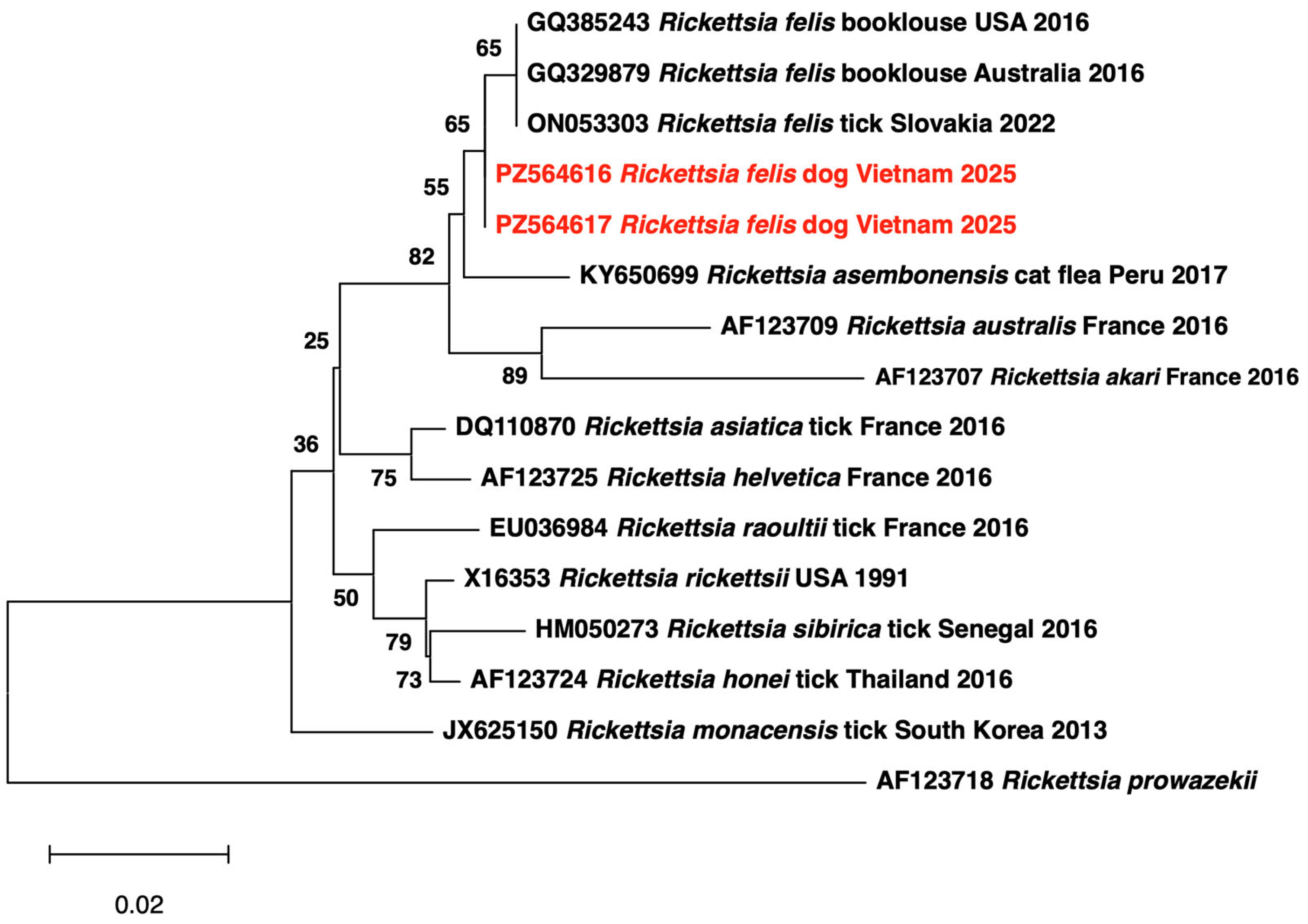 Pathogens 15 00702 g005 Pathogens 15 00702 g005