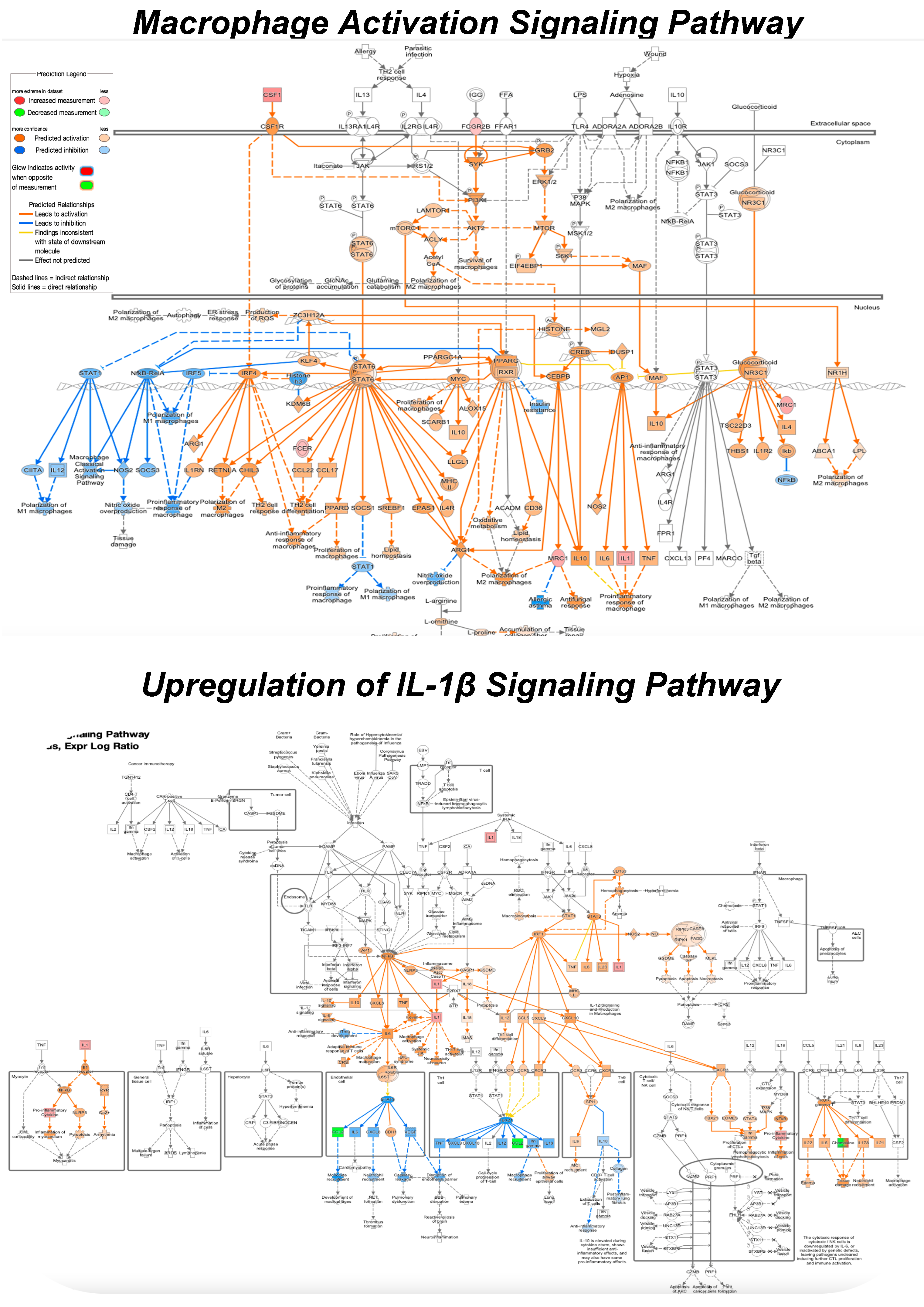 Pathogens 15 00704 g004