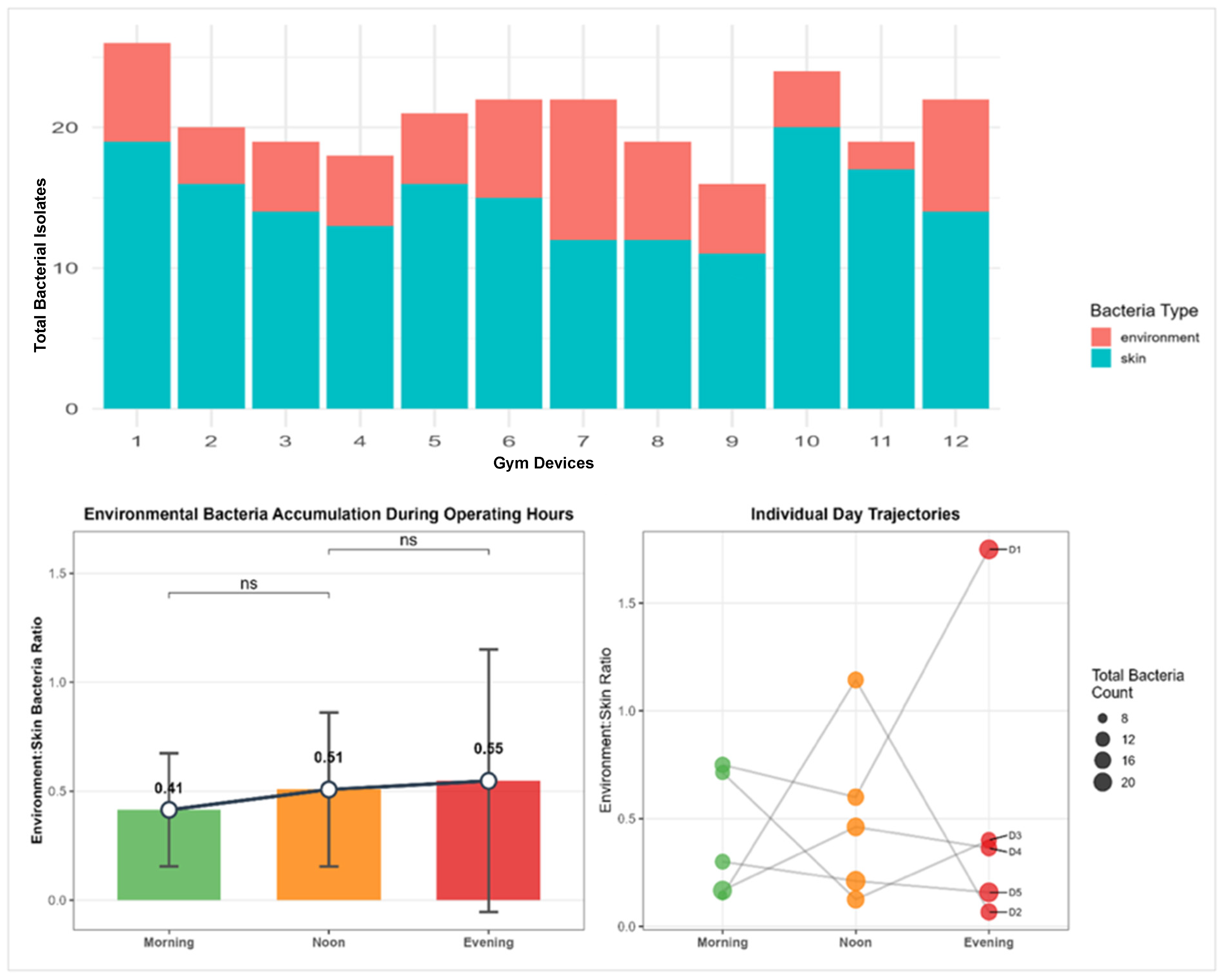 Microbial Contamination of Gym Equipment: Diversity Patterns, Temporal ...