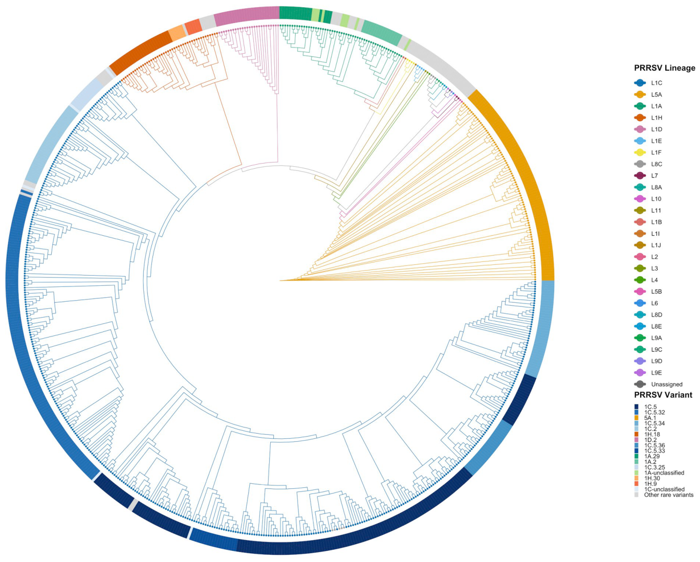 Pathogens 15 00710 g001 Pathogens 15 00710 g001