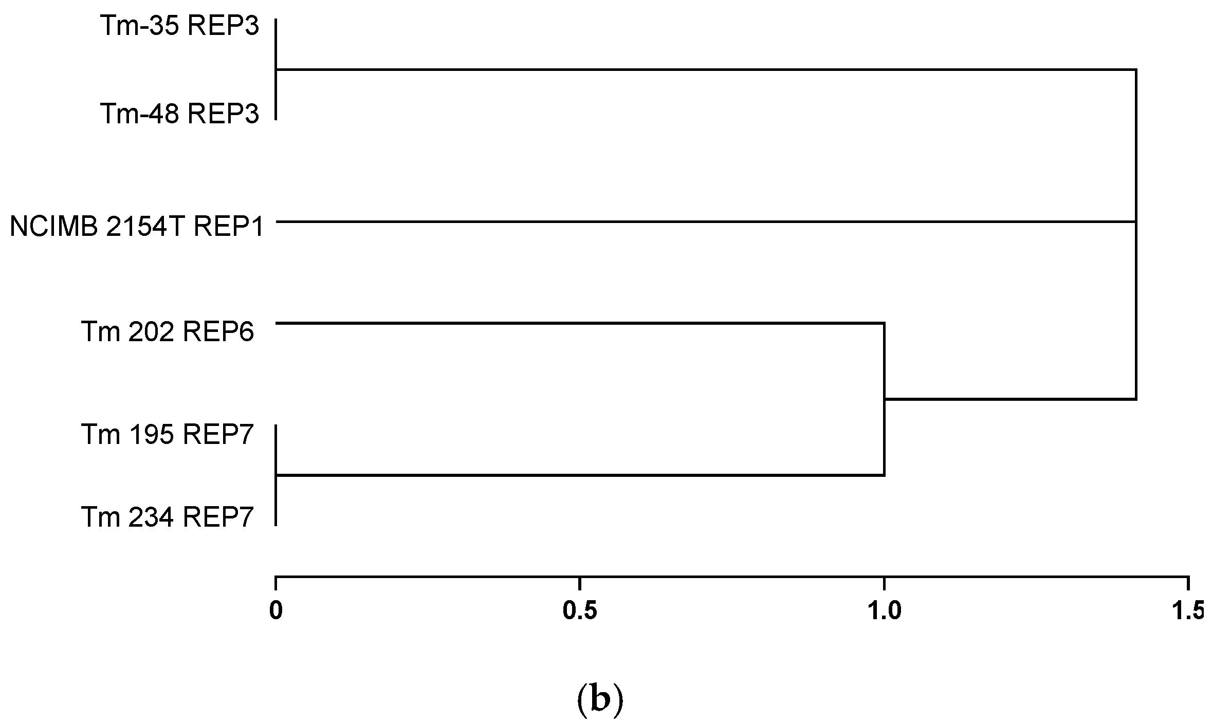 Pathogens 15 00744 g003b Pathogens 15 00744 g003b