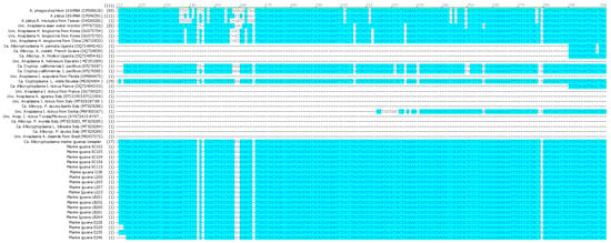 Pathogens 15 00892 g001a Pathogens 15 00892 g001a