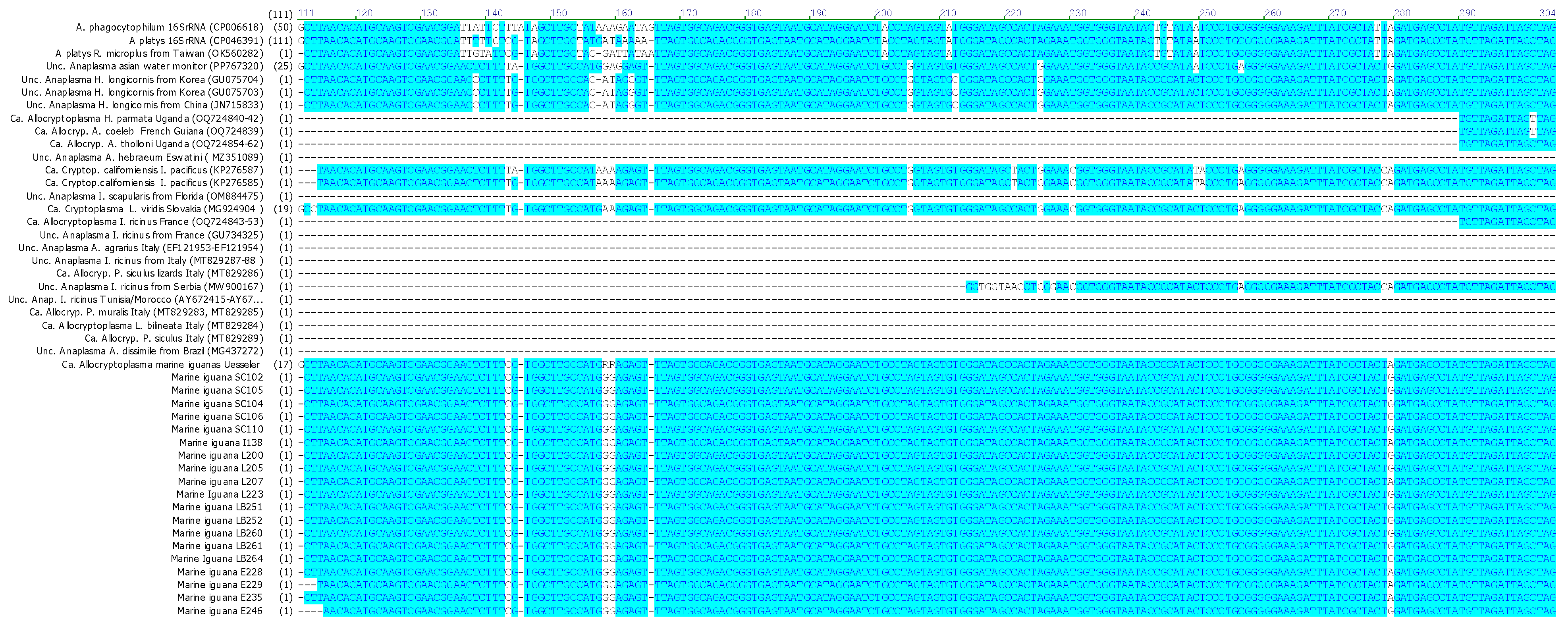 Pathogens 15 00892 g001a Pathogens 15 00892 g001a