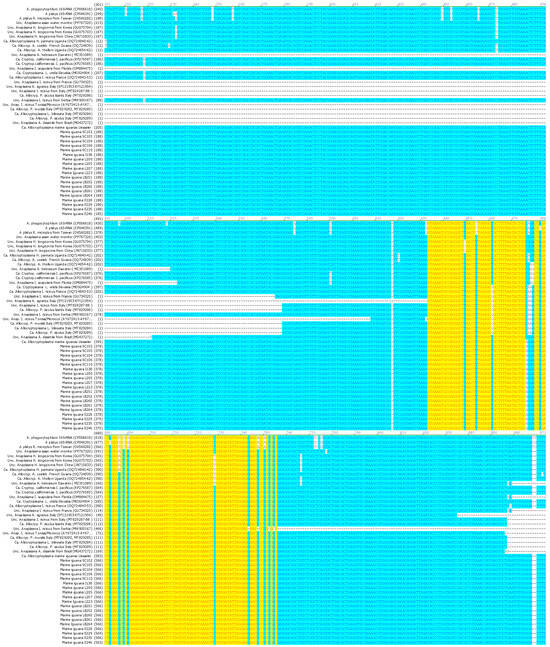 Pathogens 15 00892 g001b Pathogens 15 00892 g001b