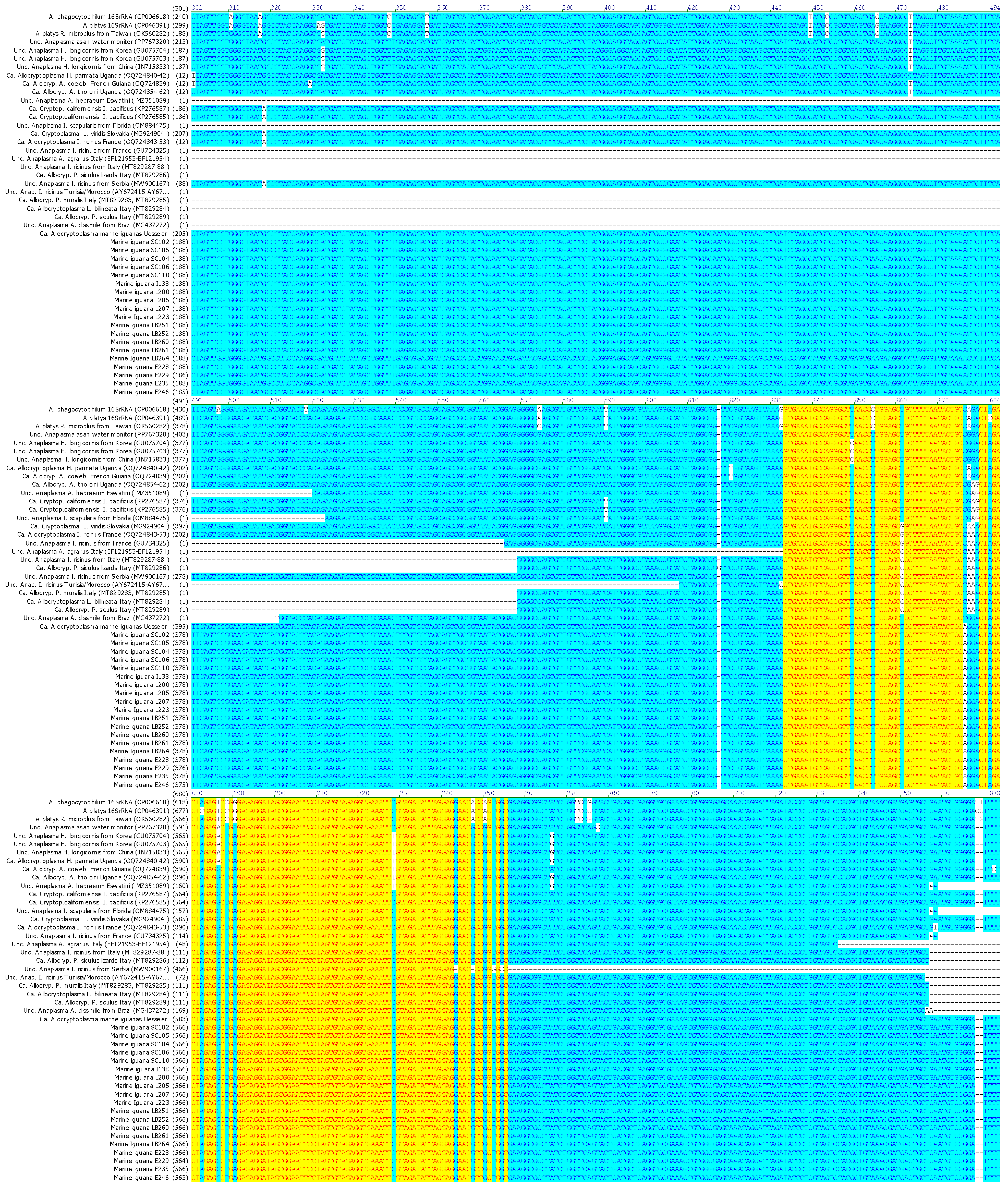 Pathogens 15 00892 g001b Pathogens 15 00892 g001b