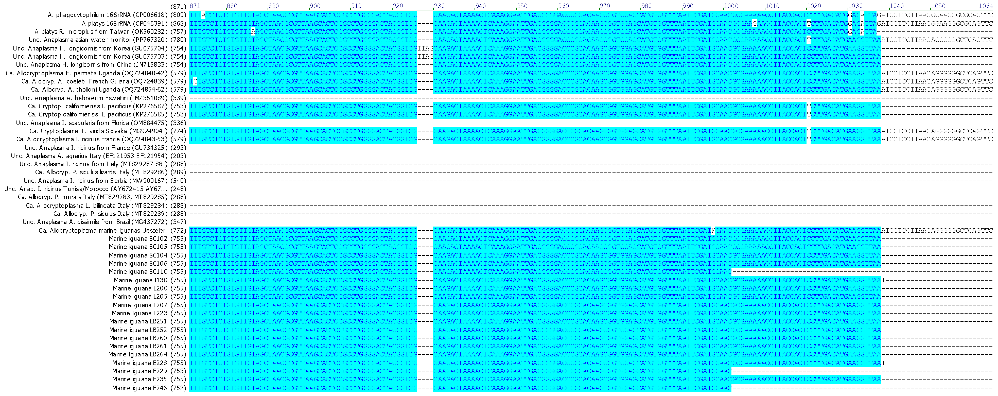 Pathogens 15 00892 g001c Pathogens 15 00892 g001c