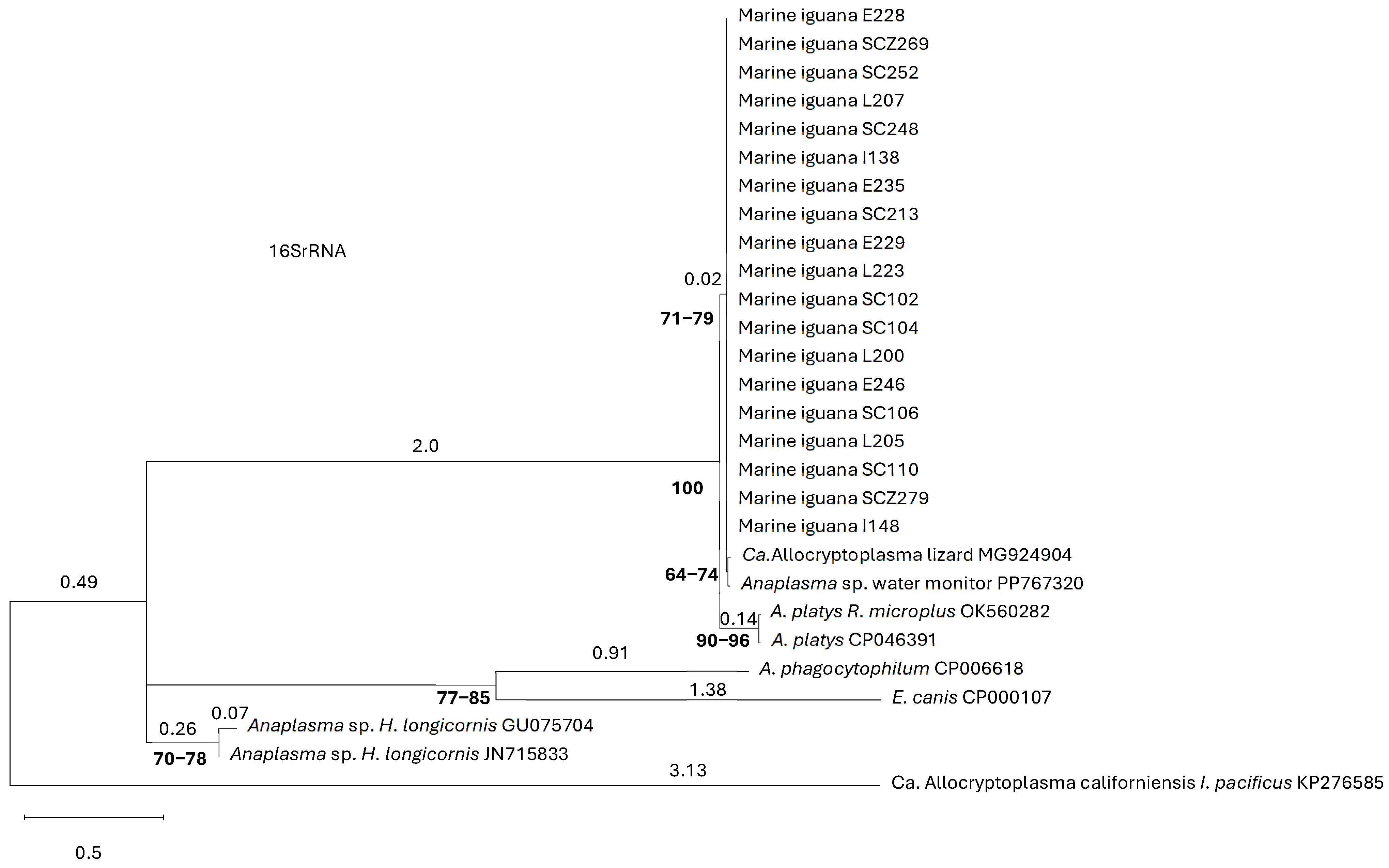 Pathogens 15 00892 g002 Pathogens 15 00892 g002