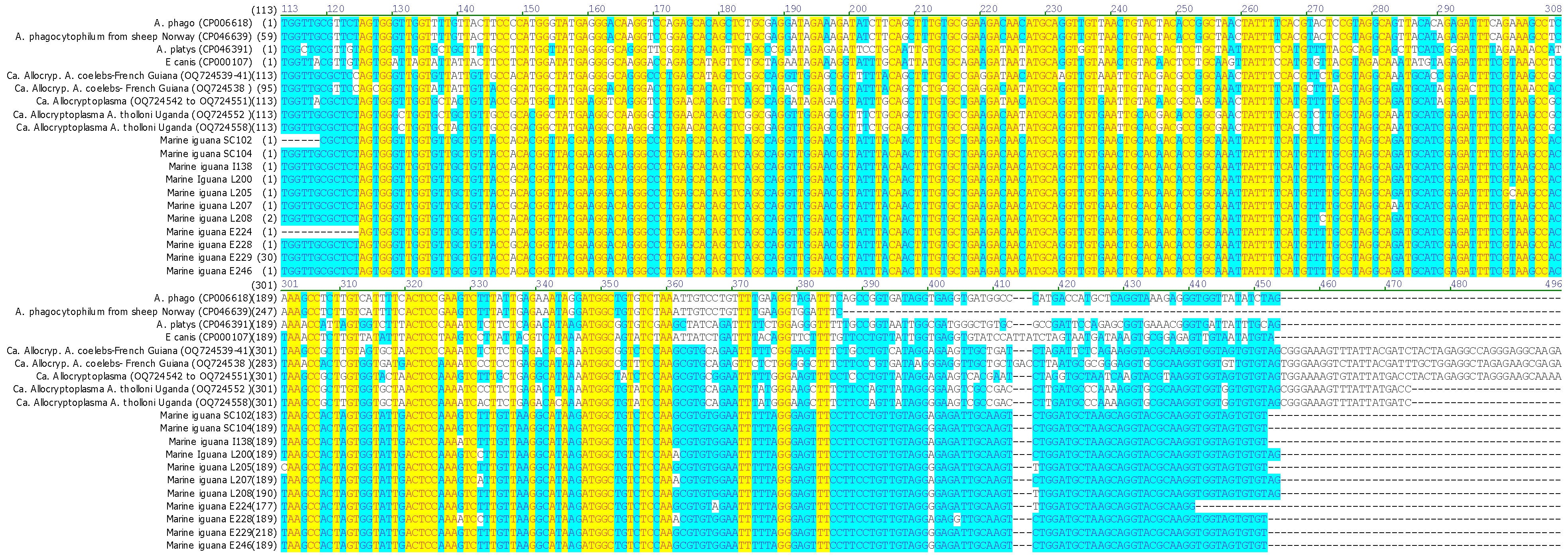 Pathogens 15 00892 g003 Pathogens 15 00892 g003