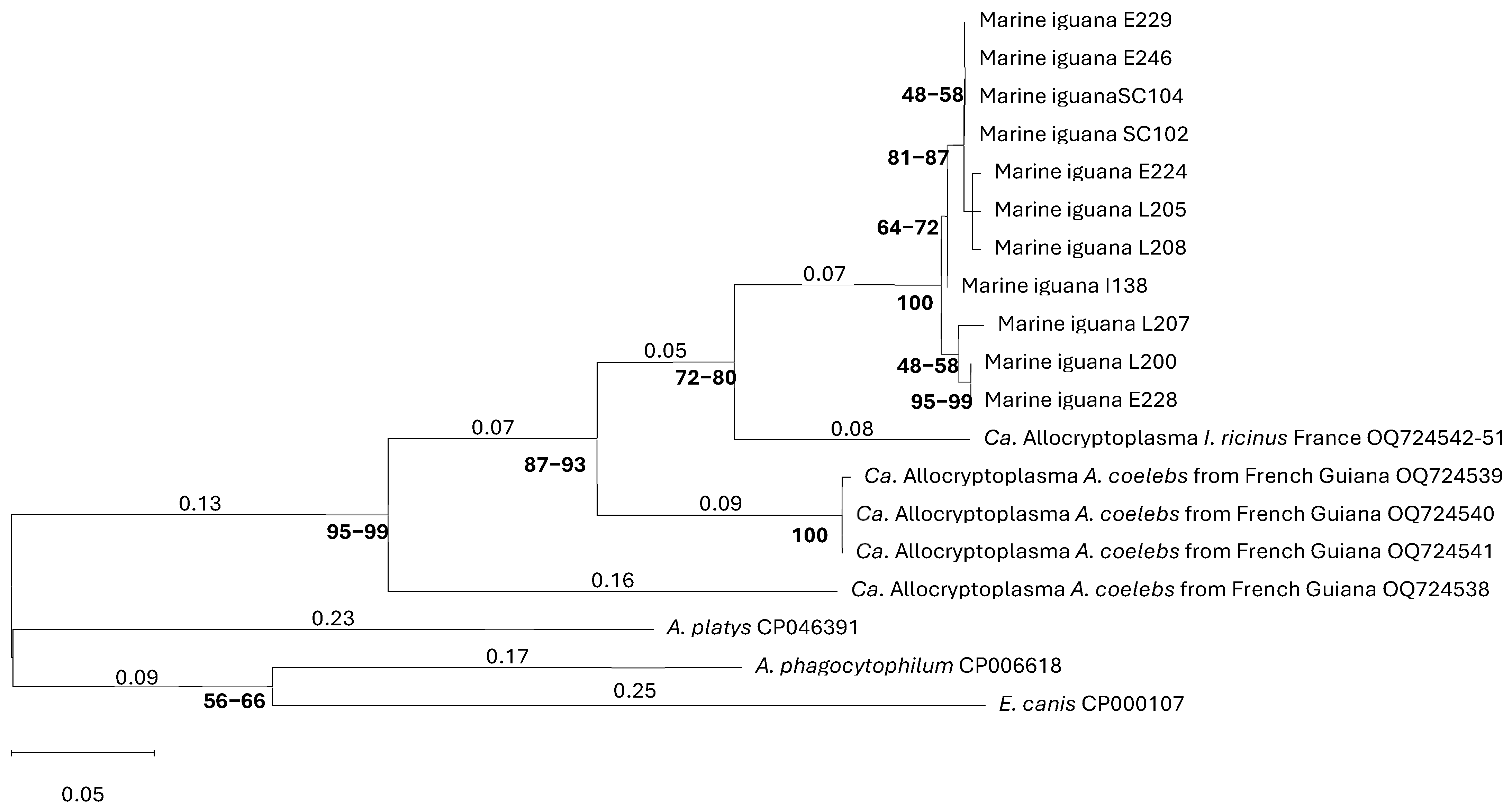 Pathogens 15 00892 g004 Pathogens 15 00892 g004