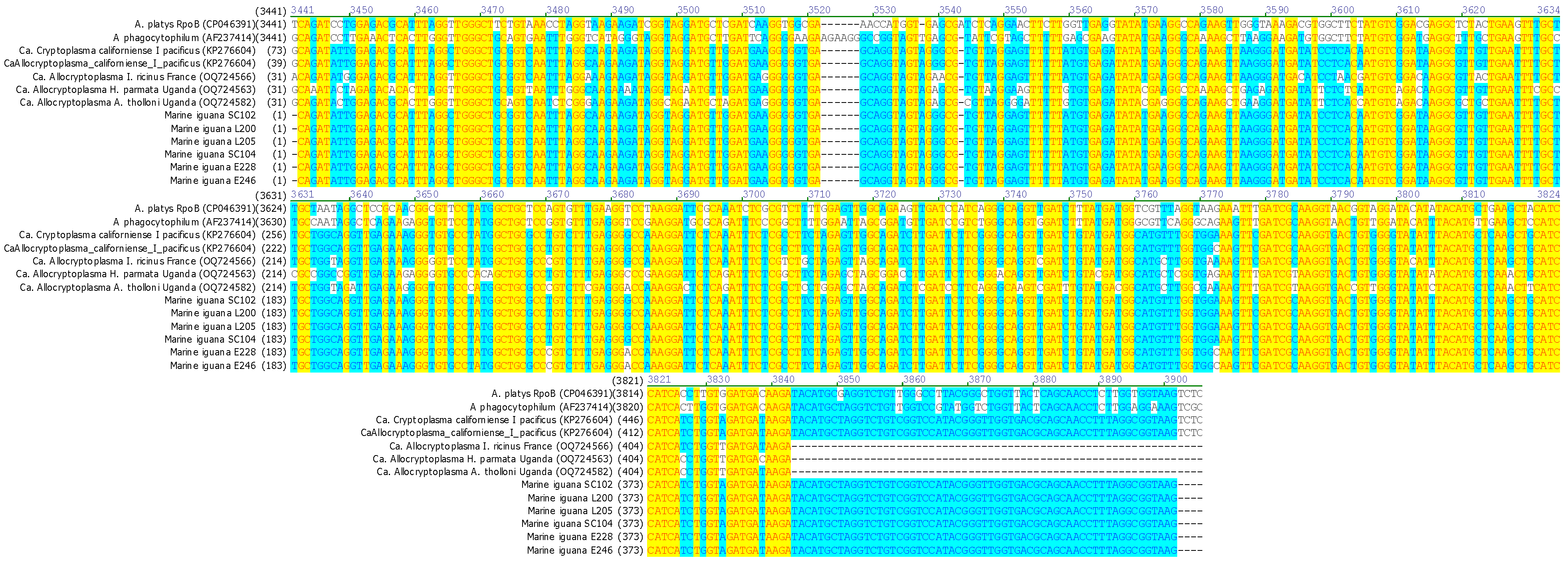 Pathogens 15 00892 g005 Pathogens 15 00892 g005