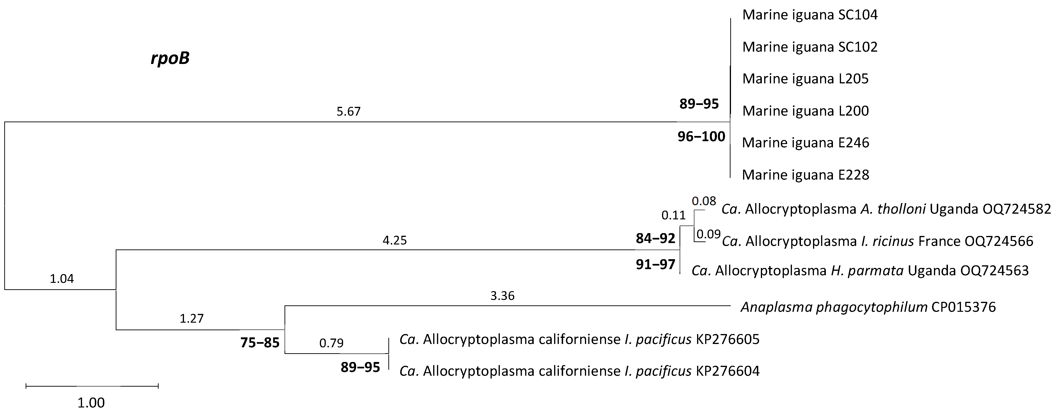 Pathogens 15 00892 g006 Pathogens 15 00892 g006