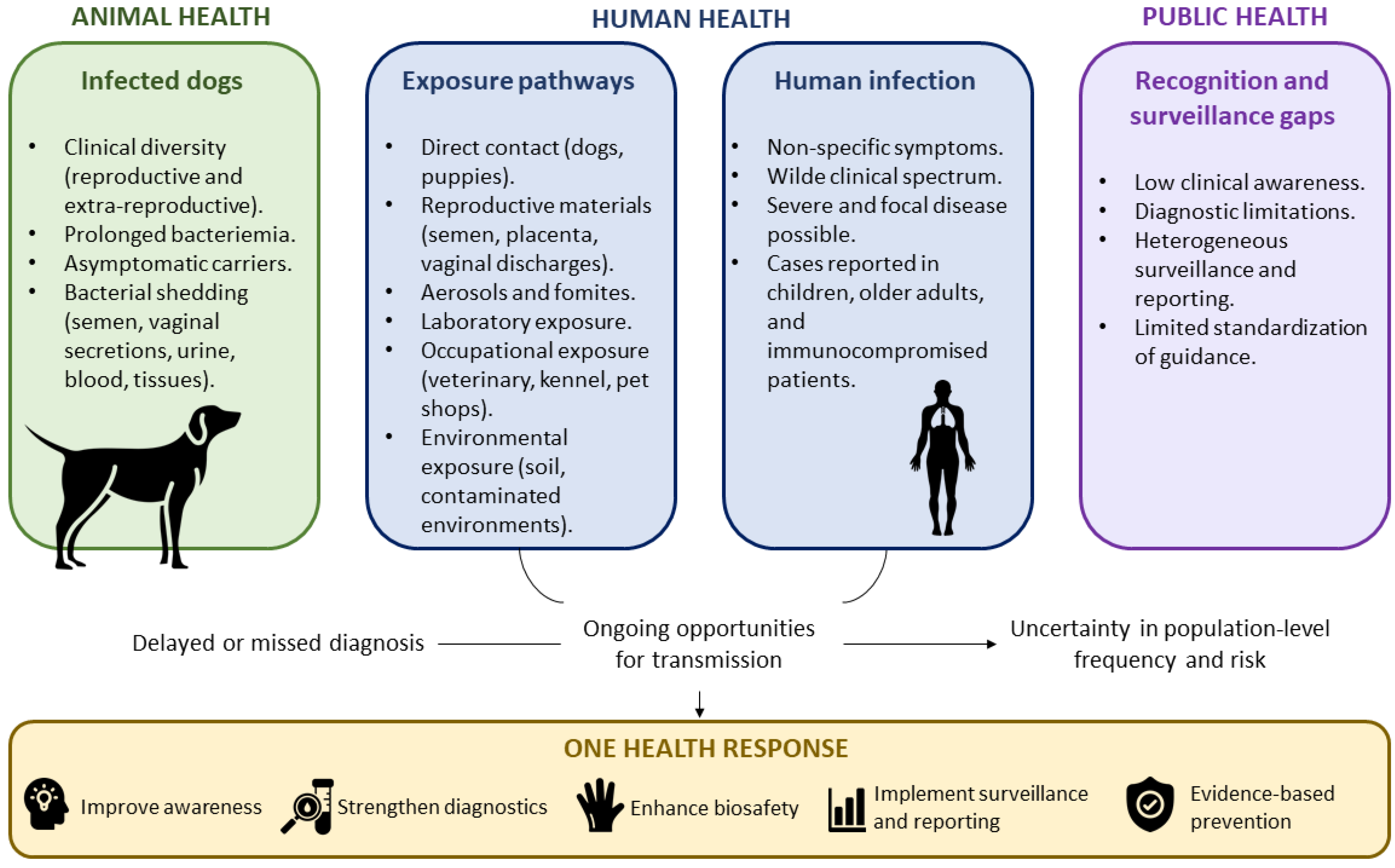 Pathogens 15 00947 g001 Pathogens 15 00947 g001