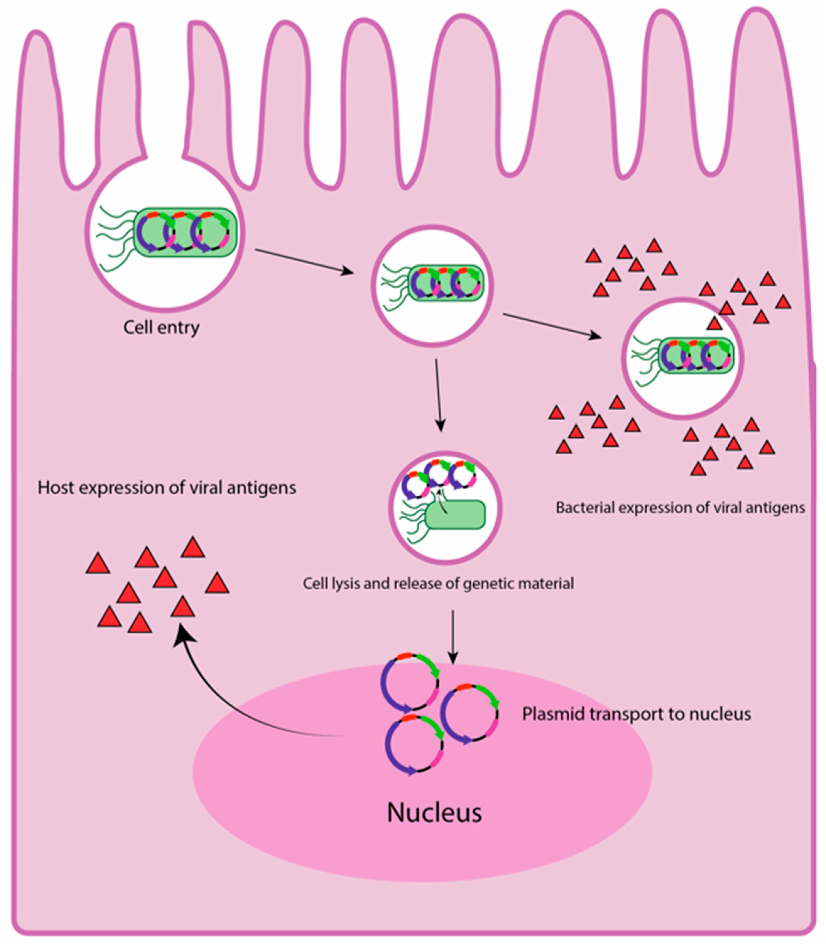 Pathogens 15 00955 g001 Pathogens 15 00955 g001