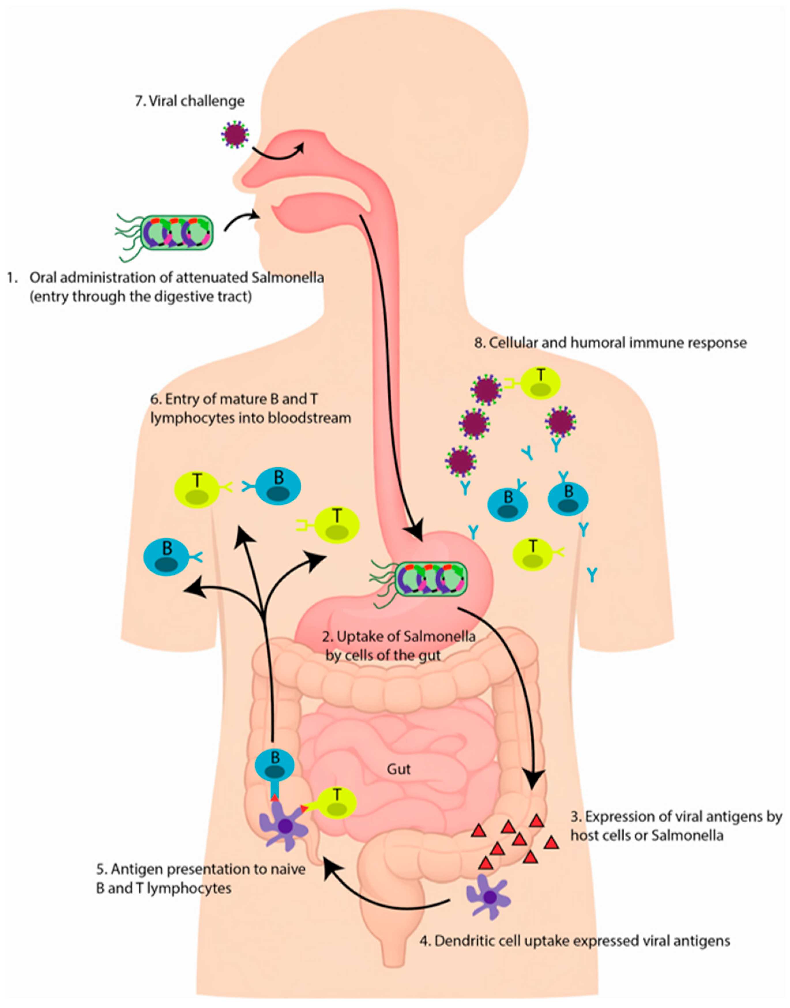 Pathogens 15 00955 g002 Pathogens 15 00955 g002