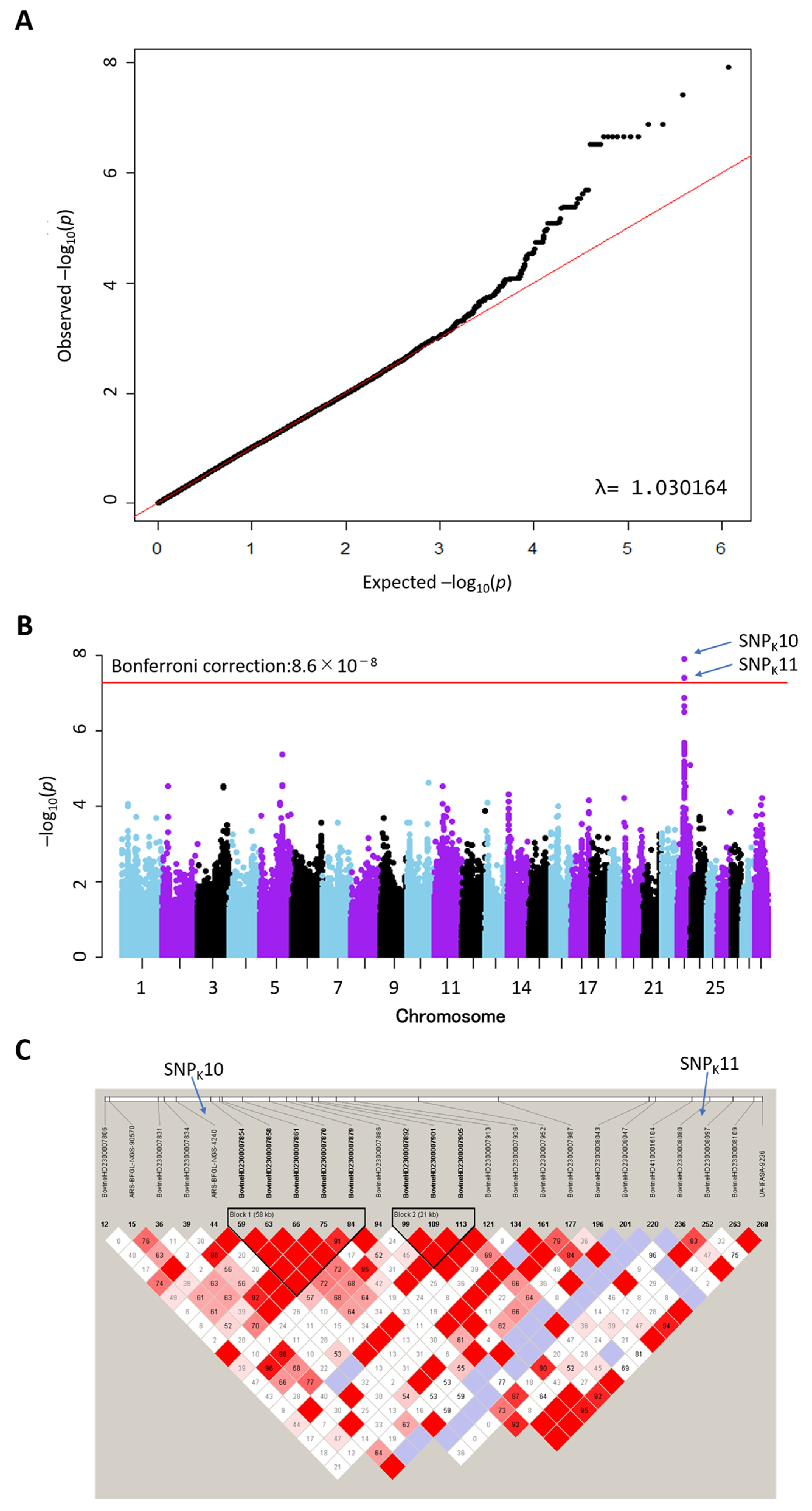Pathogens 15 01017 g001 Pathogens 15 01017 g001