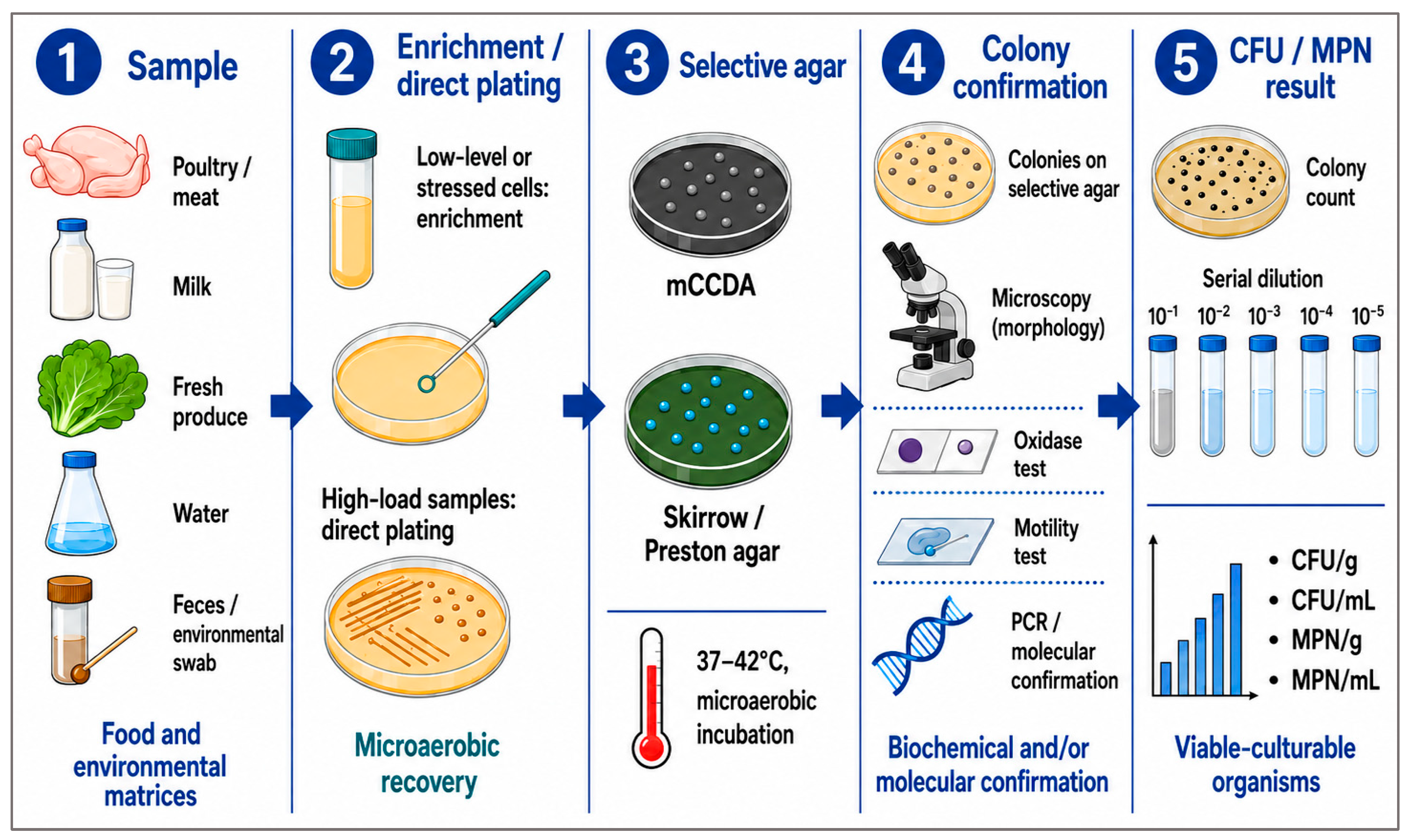 Pathogens 15 01024 g002 Pathogens 15 01024 g002