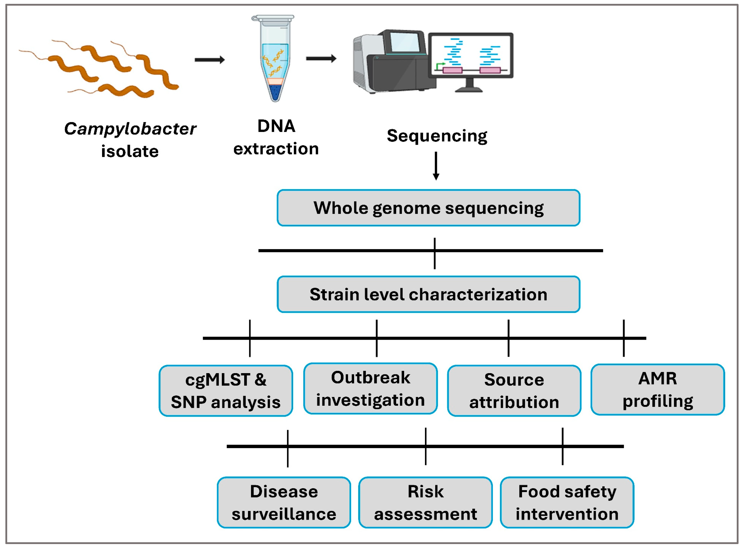 Pathogens 15 01024 g004 Pathogens 15 01024 g004