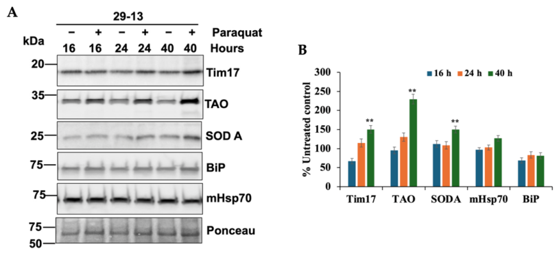 Pathogens 15 01053 g004 Pathogens 15 01053 g004