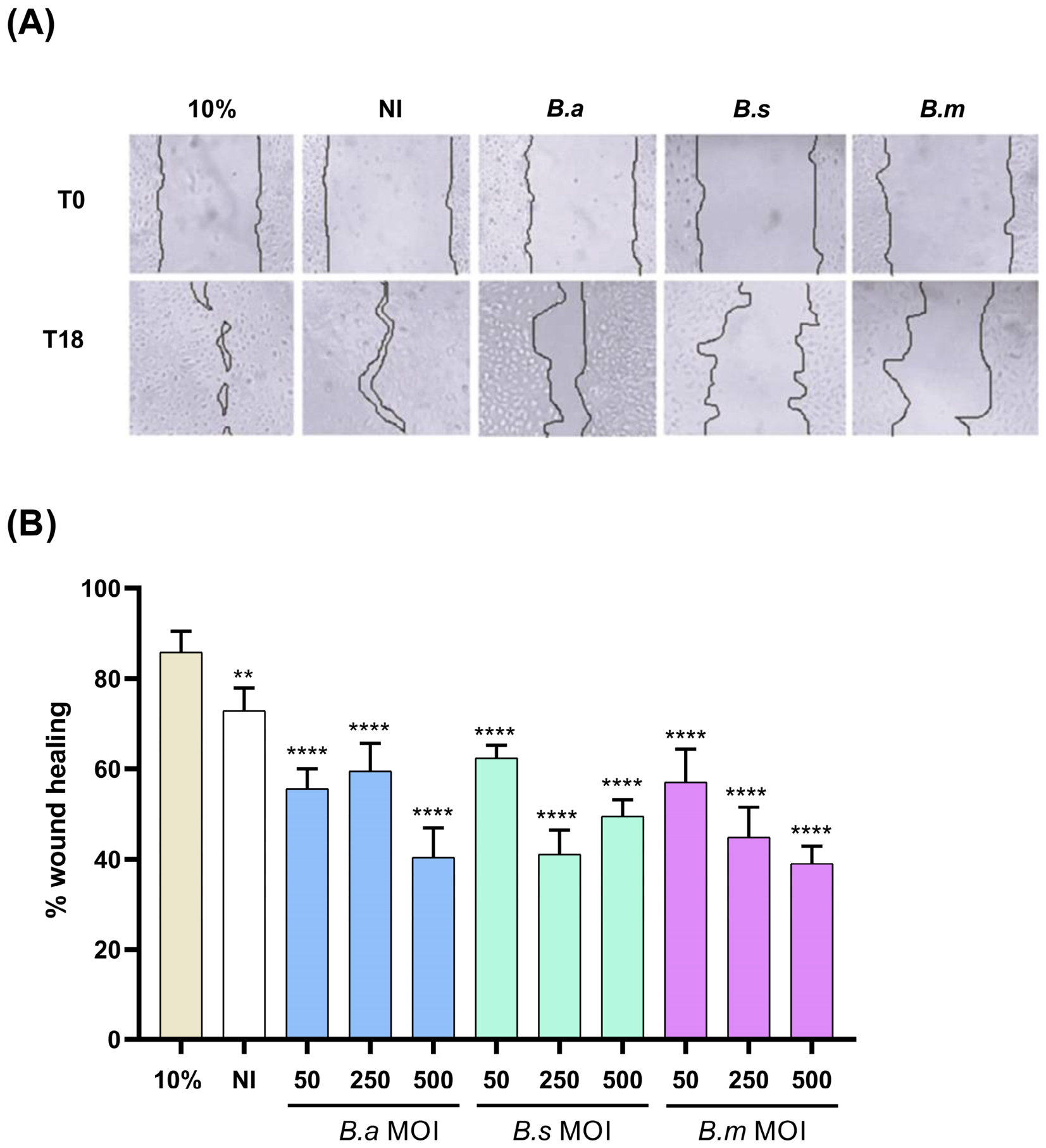 Pathogens 15 01102 g003 Pathogens 15 01102 g003