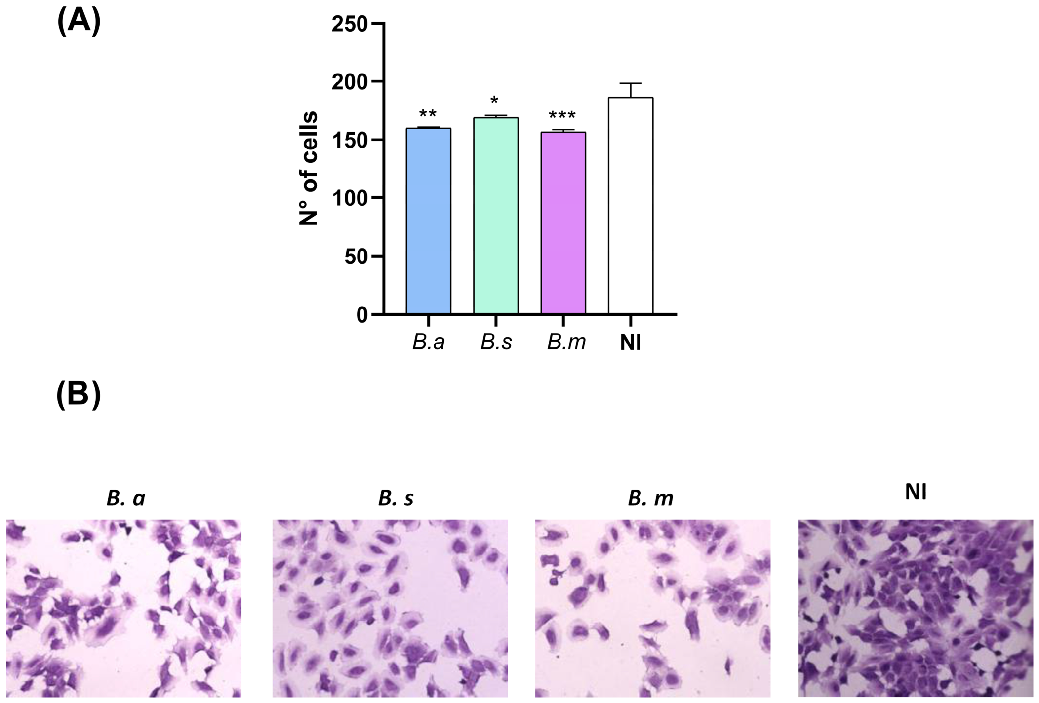 Pathogens 15 01102 g004 Pathogens 15 01102 g004