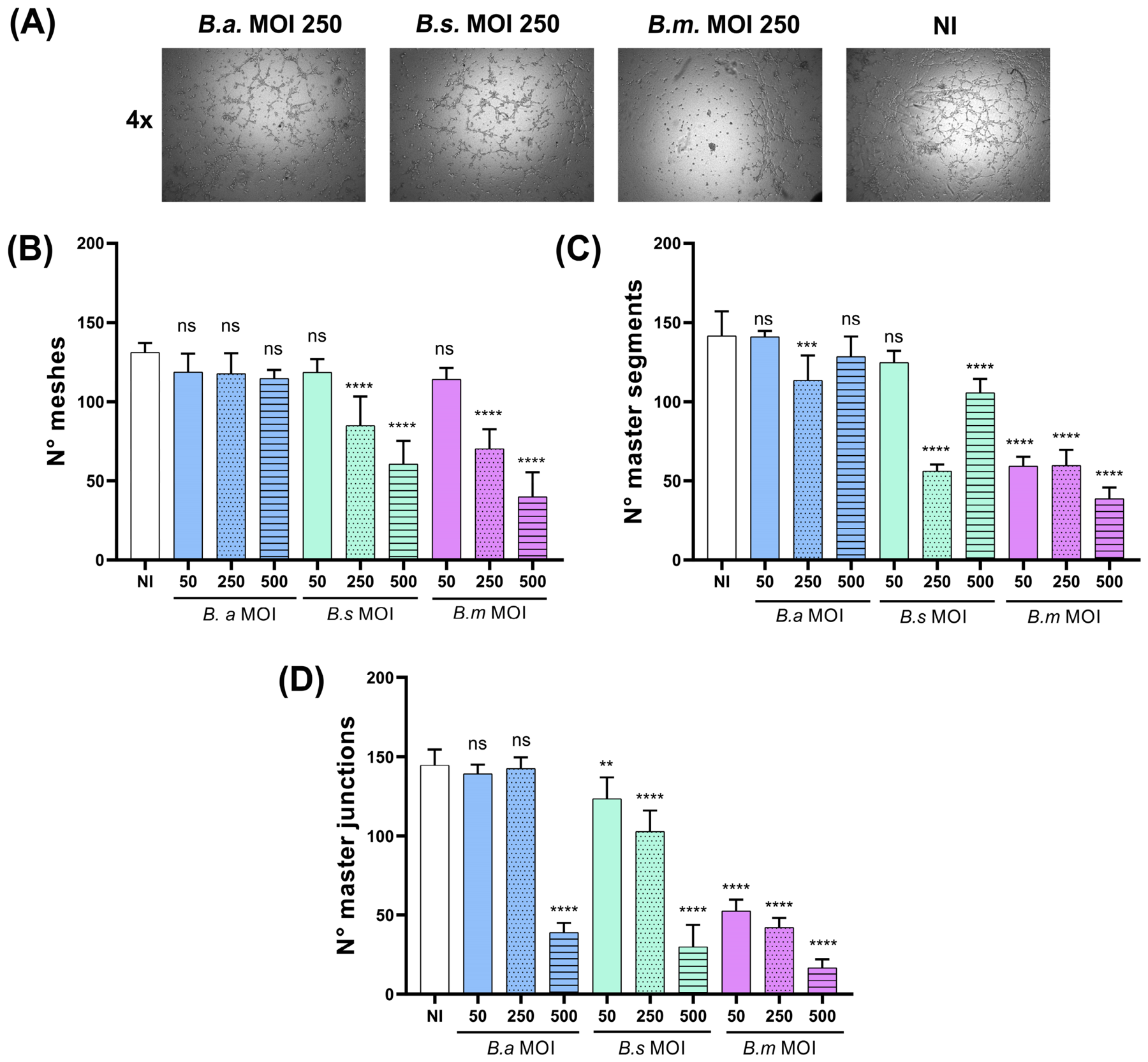 Pathogens 15 01102 g005 Pathogens 15 01102 g005