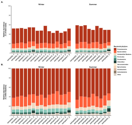Spirochaetes Examples First Longitudinal Untargeted Metagenomic Survey Reveals Spatial and ...