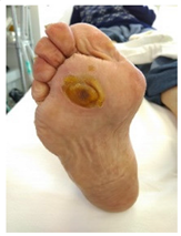 Pathophysiology 27 00003 i002