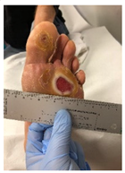 Pathophysiology 27 00003 i006