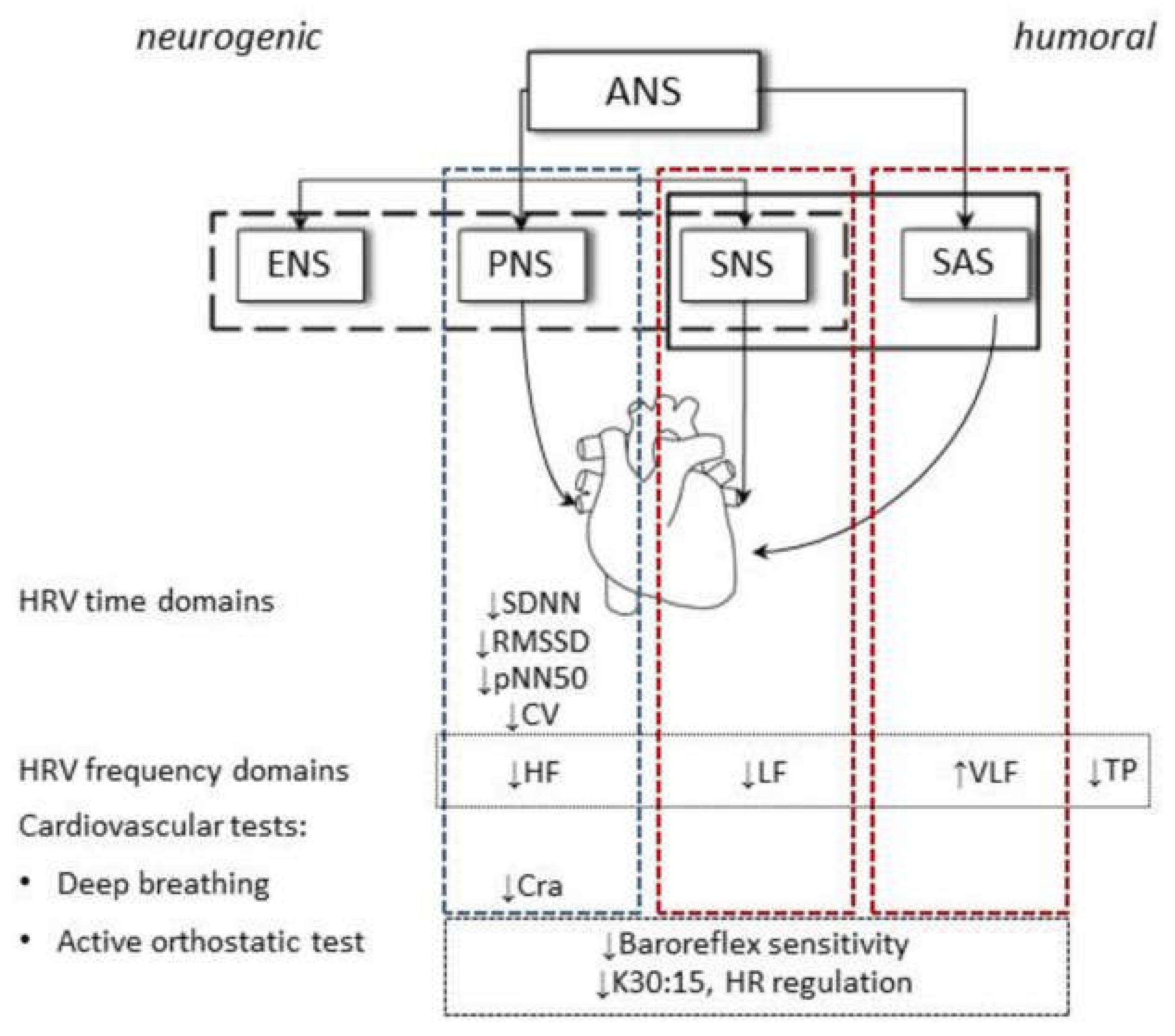 Pathophysiology 28 00002 sch001 Pathophysiology 28 00002 sch001